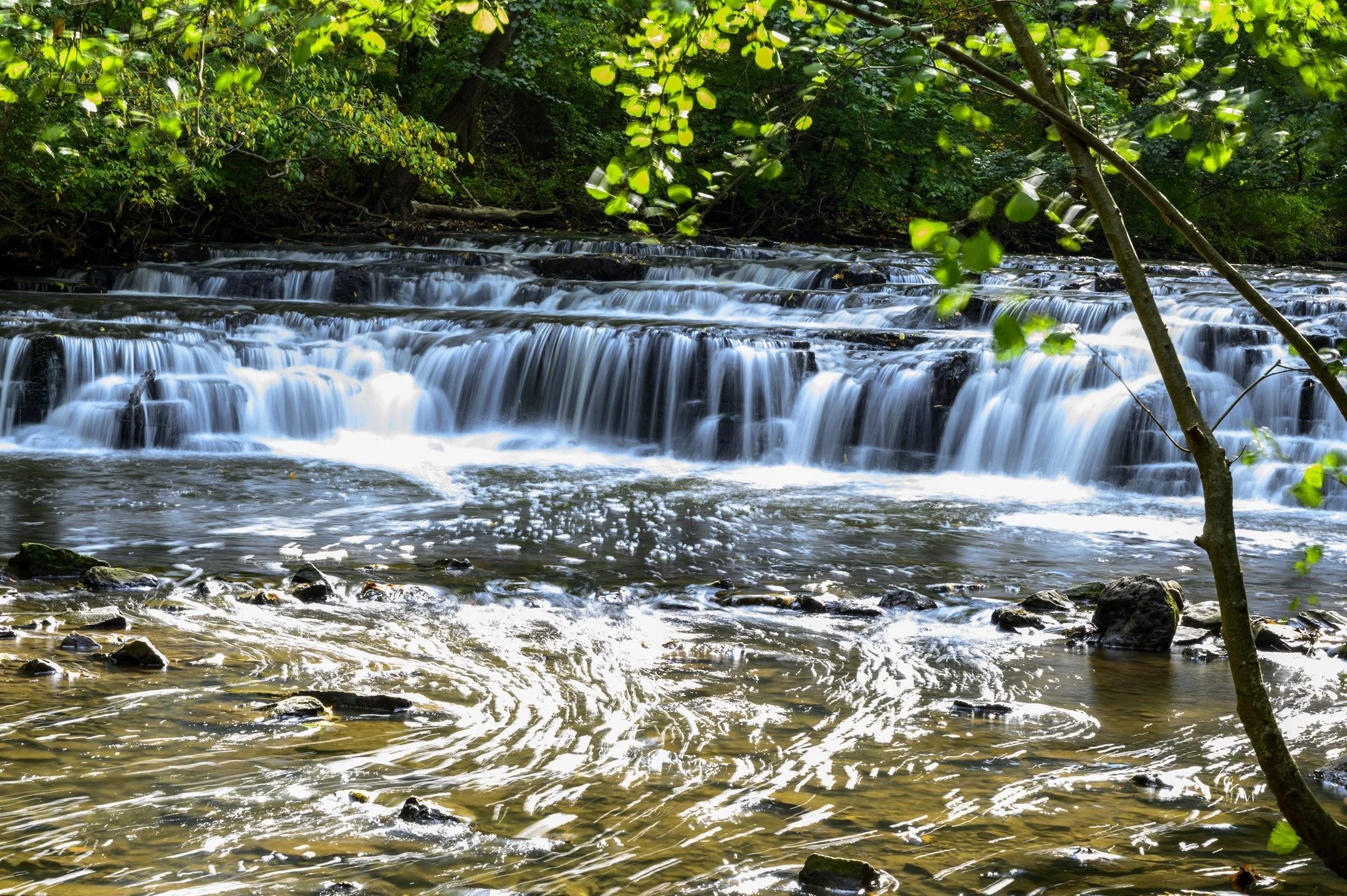 Scenic view of a small waterfall cascading over rocks in a forest setting, surrounded by lush green trees and foliage.