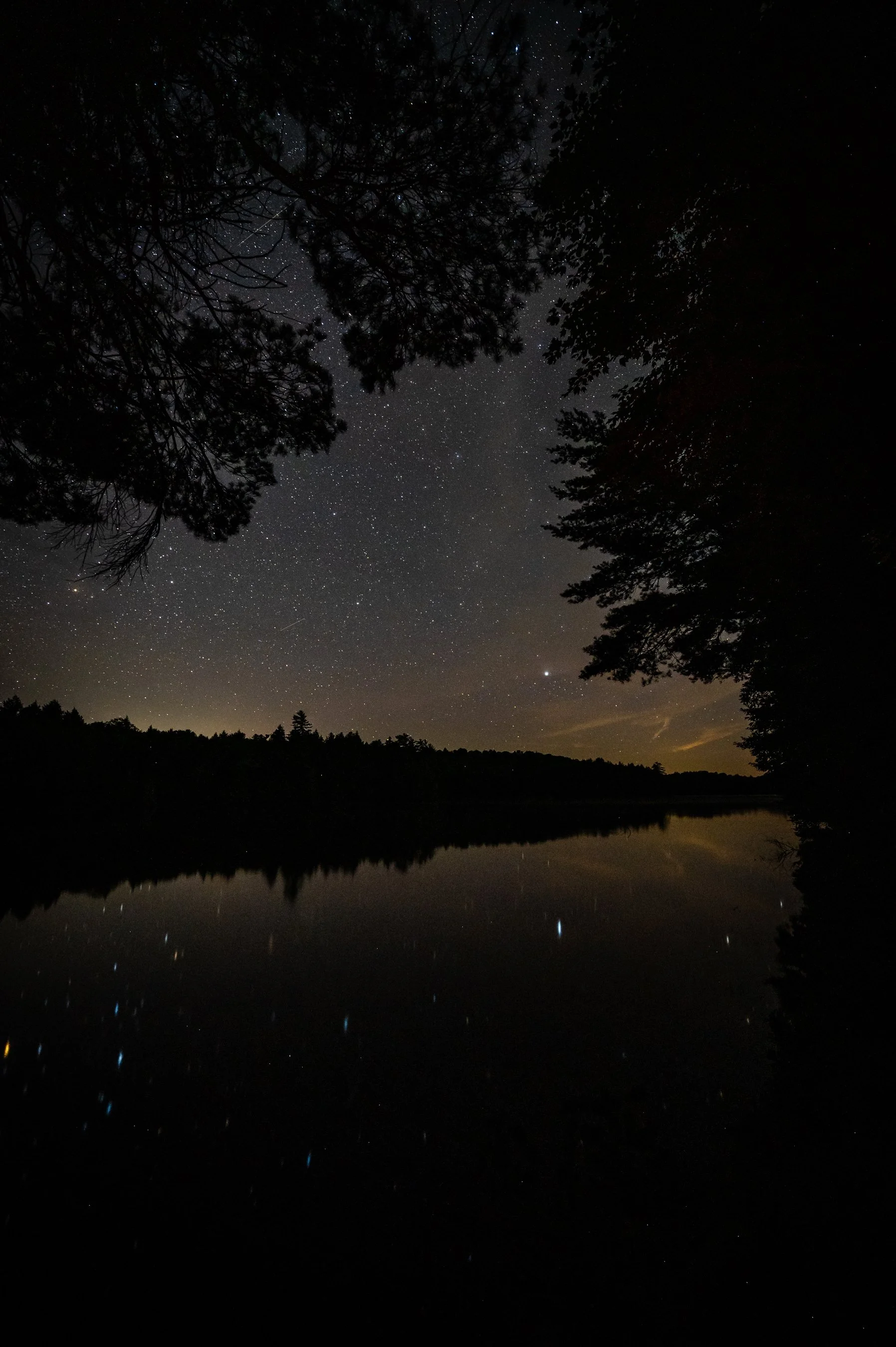 Z61_1498_1796_2700.jpg