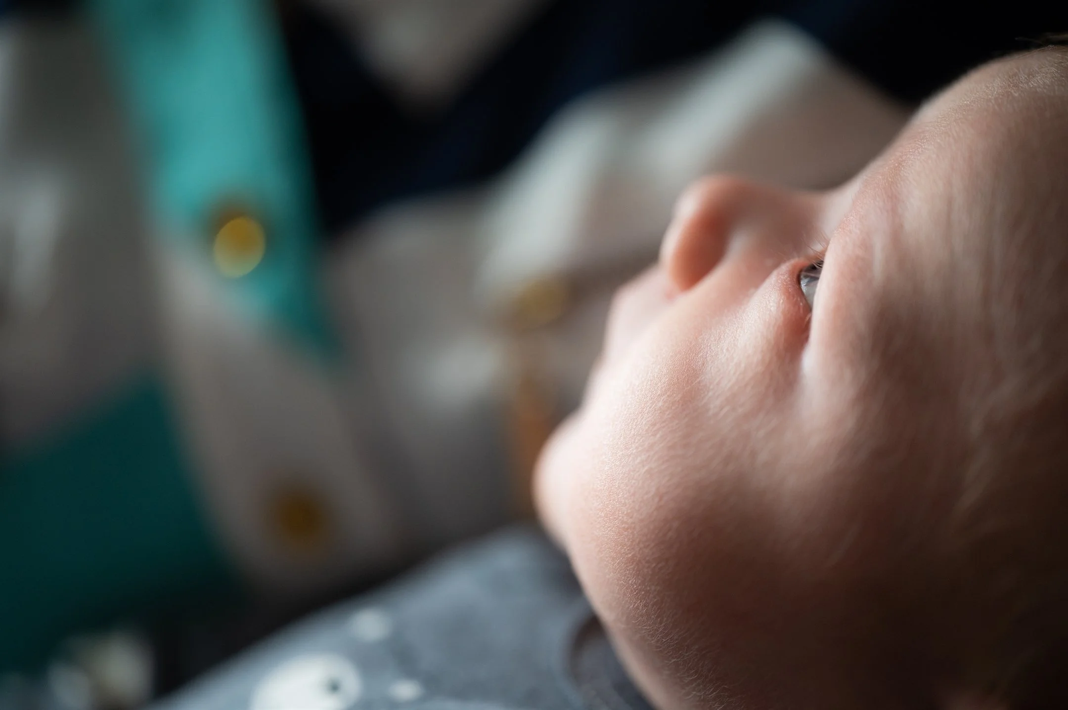 Baby Scotty-13_2160_1437.jpg