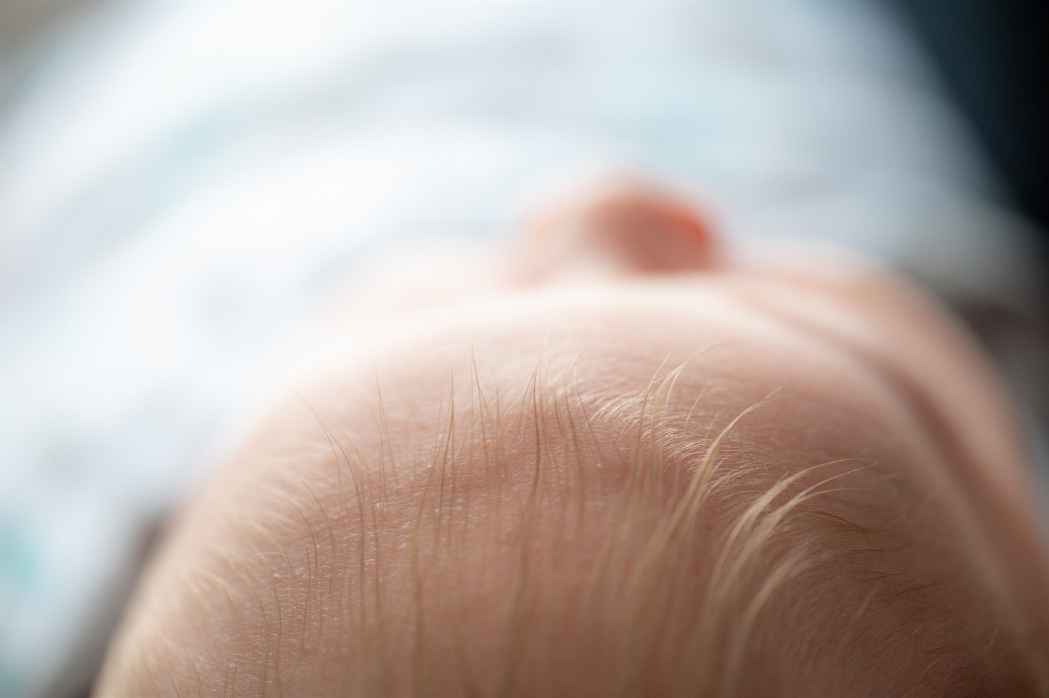 Baby Scotty-32_2160_1437.jpg