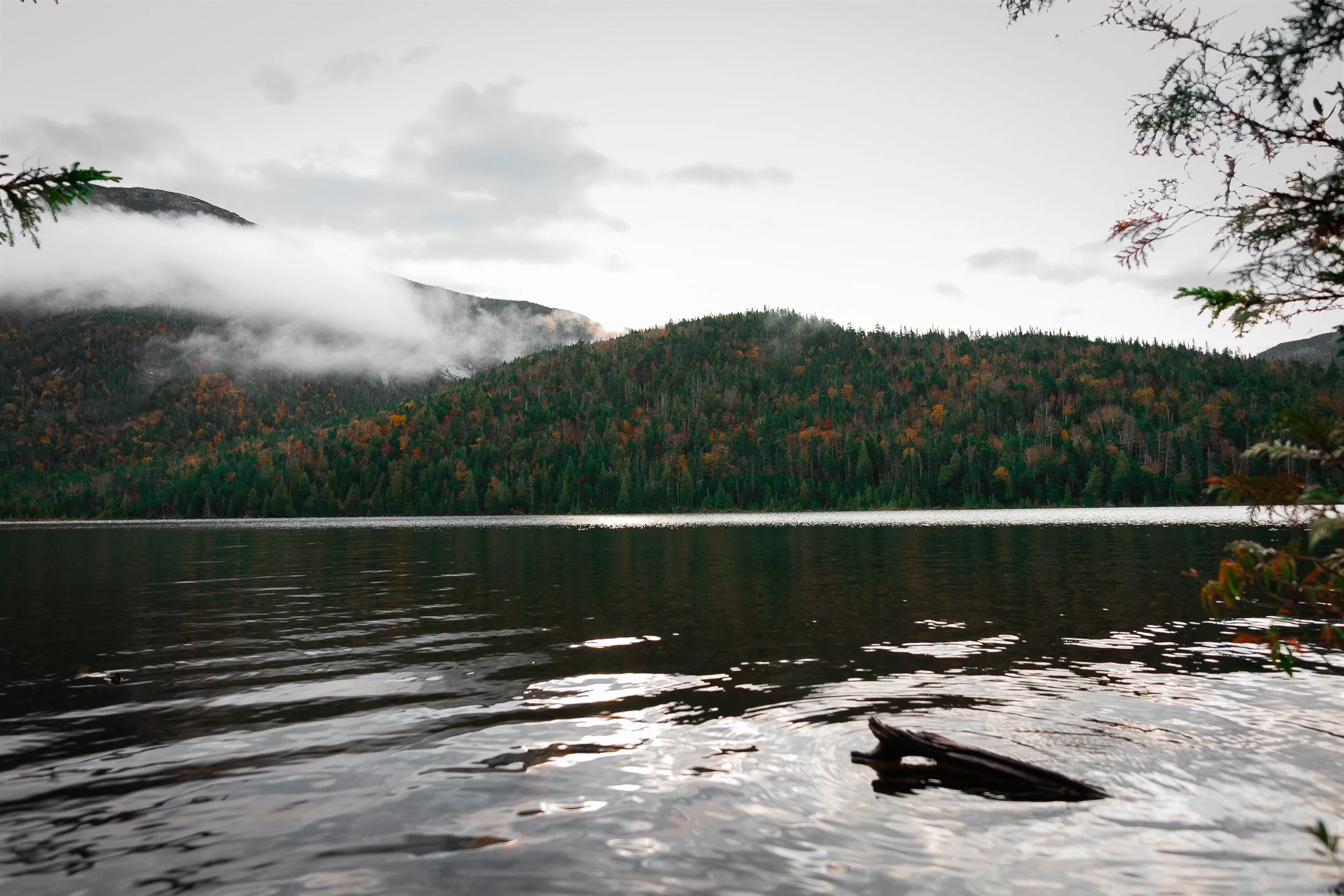 Scenic view of a tranquil lake with rippling water, surrounded by a forested hillside with autumn foliage. Low clouds hang over the mountains in the background, and branches frame the scene.