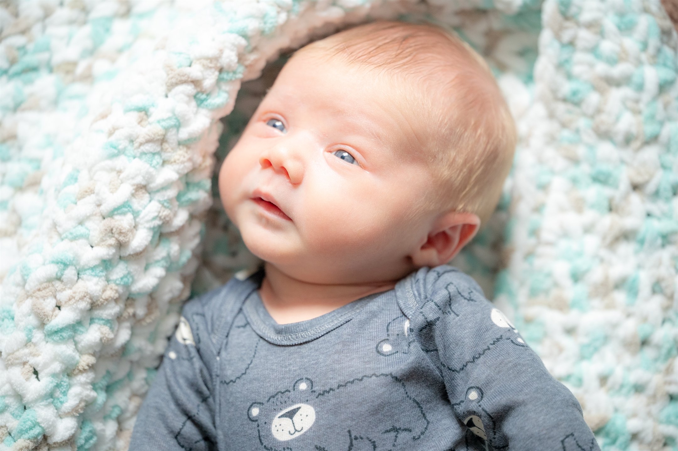 Baby Scotty-29_2160_1437.jpg