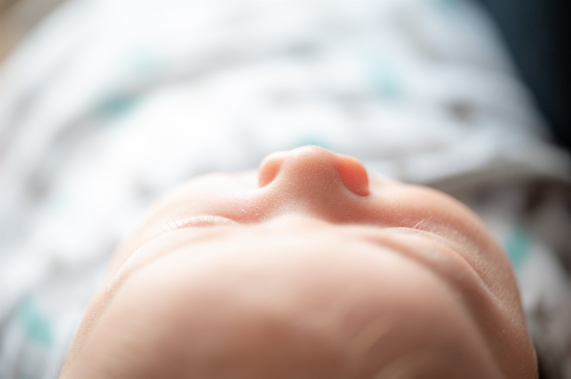 Baby Scotty-33_2160_1437.jpg