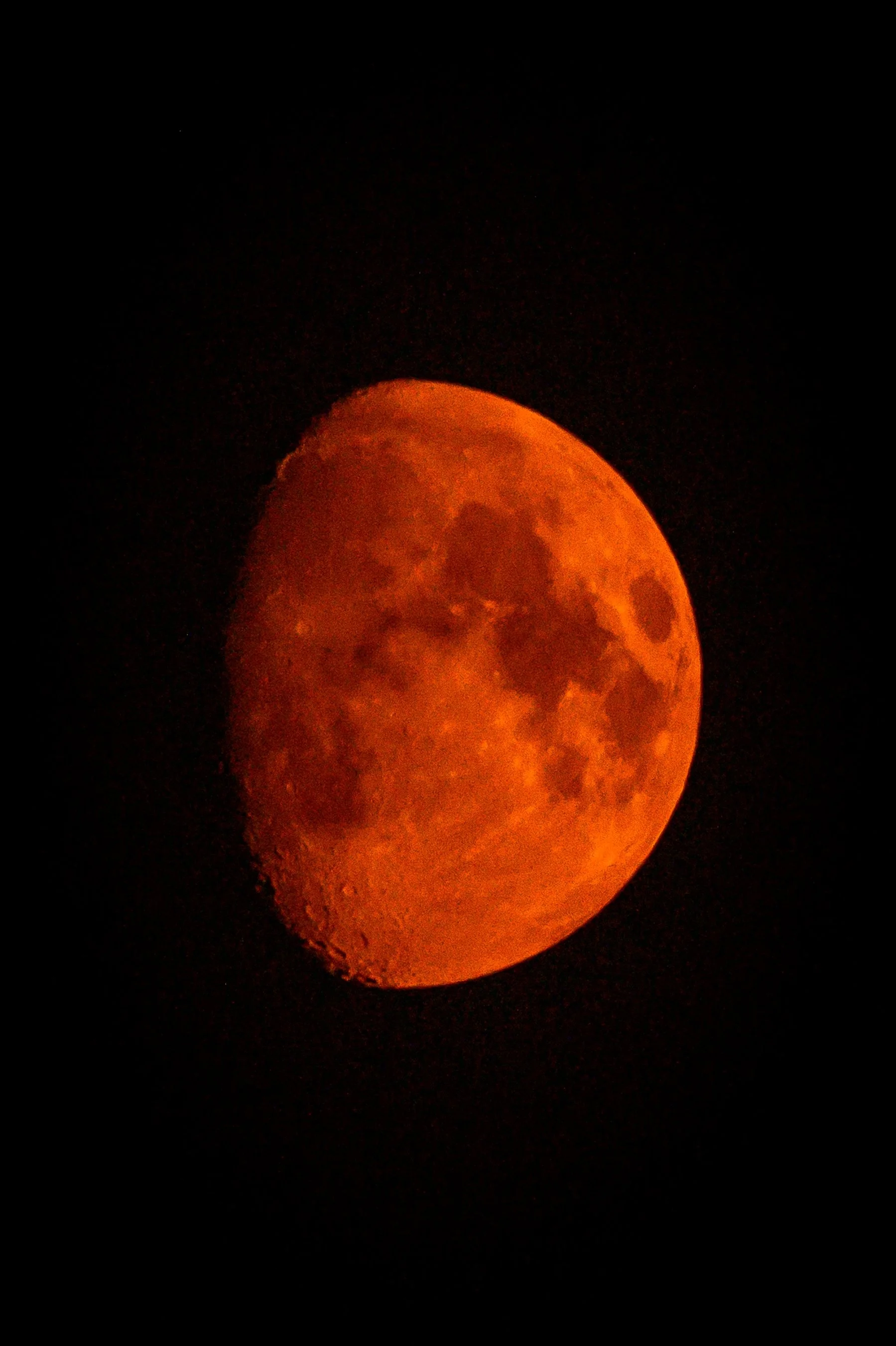 Z62_9774_1799_2700.jpg