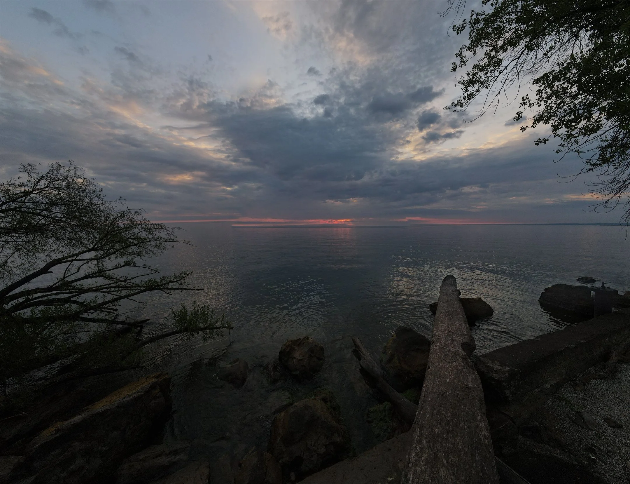 Quiet evening lake scene with overcast sky, fallen tree trunk, and rocky shoreline.
