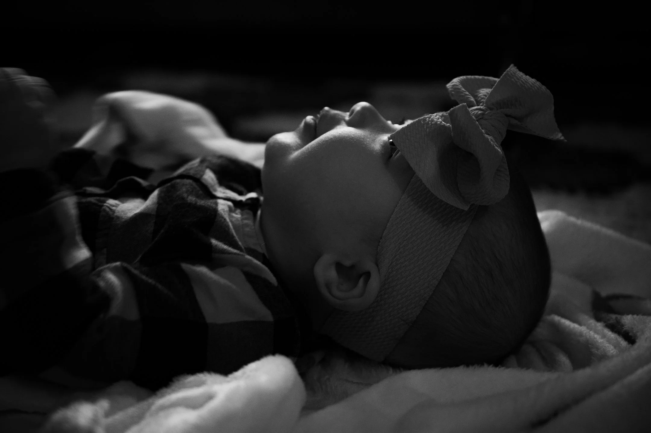 DSC_9005_2160_1437.jpg