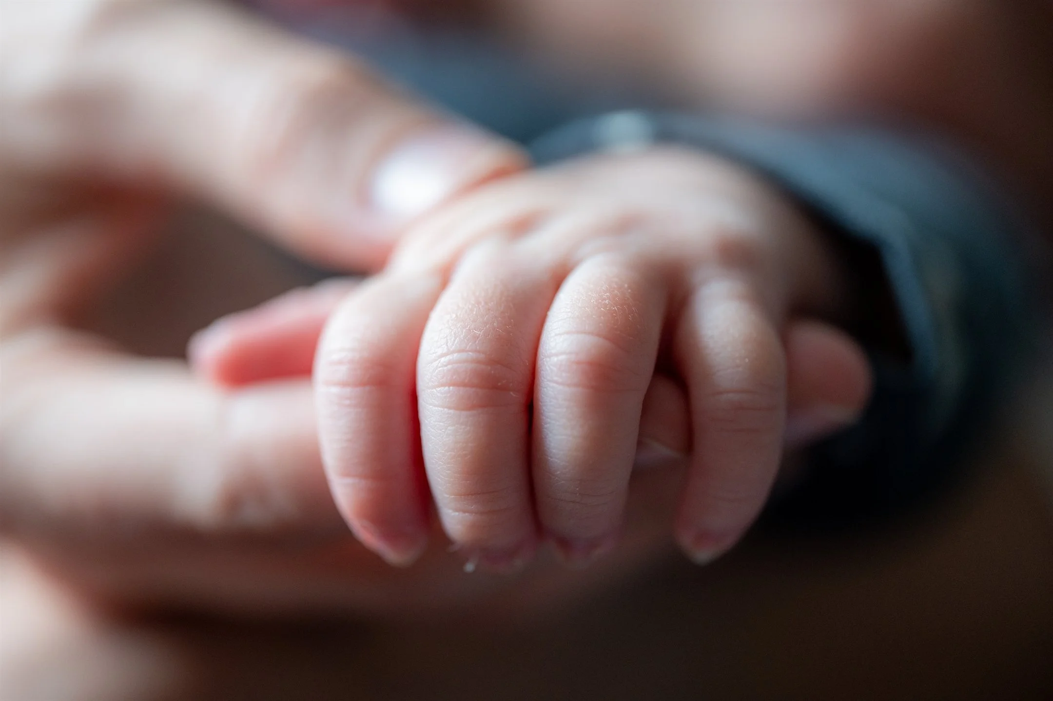 Baby Scotty-11_2160_1437.jpg