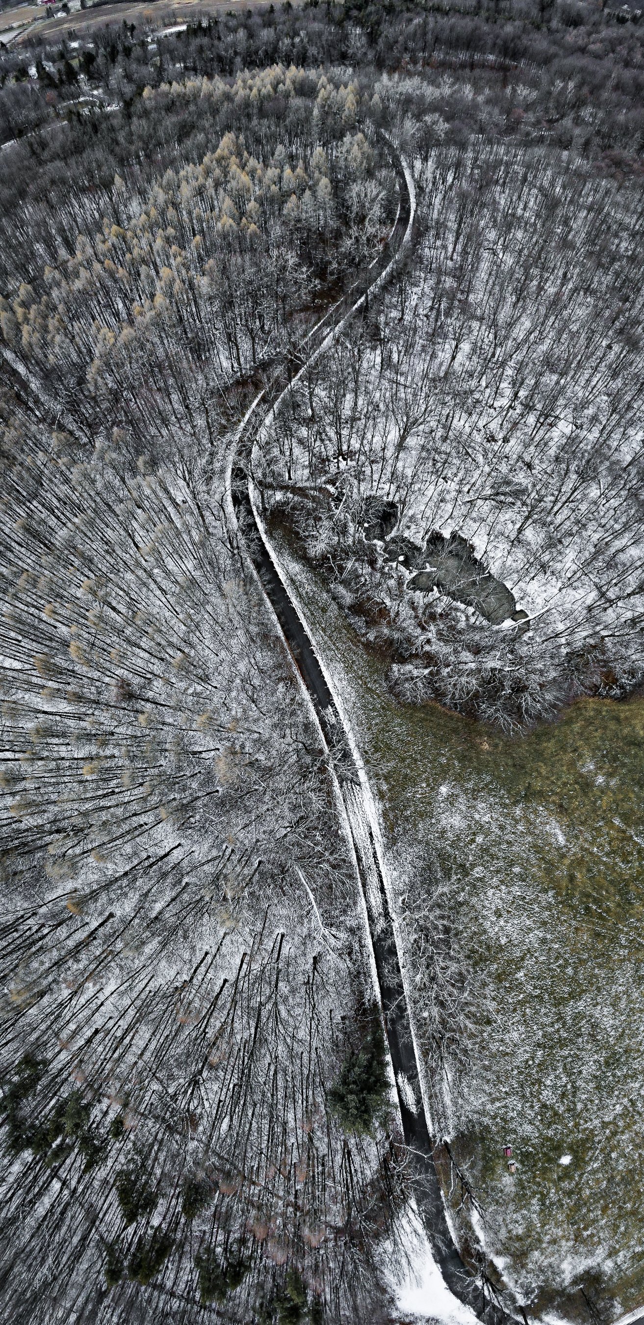 Aerial view of a snow-covered forest with a narrow winding path cutting through the trees, surrounded by patches of bare and evergreen trees. The landscape shows a transition from dense forest to open meadow.