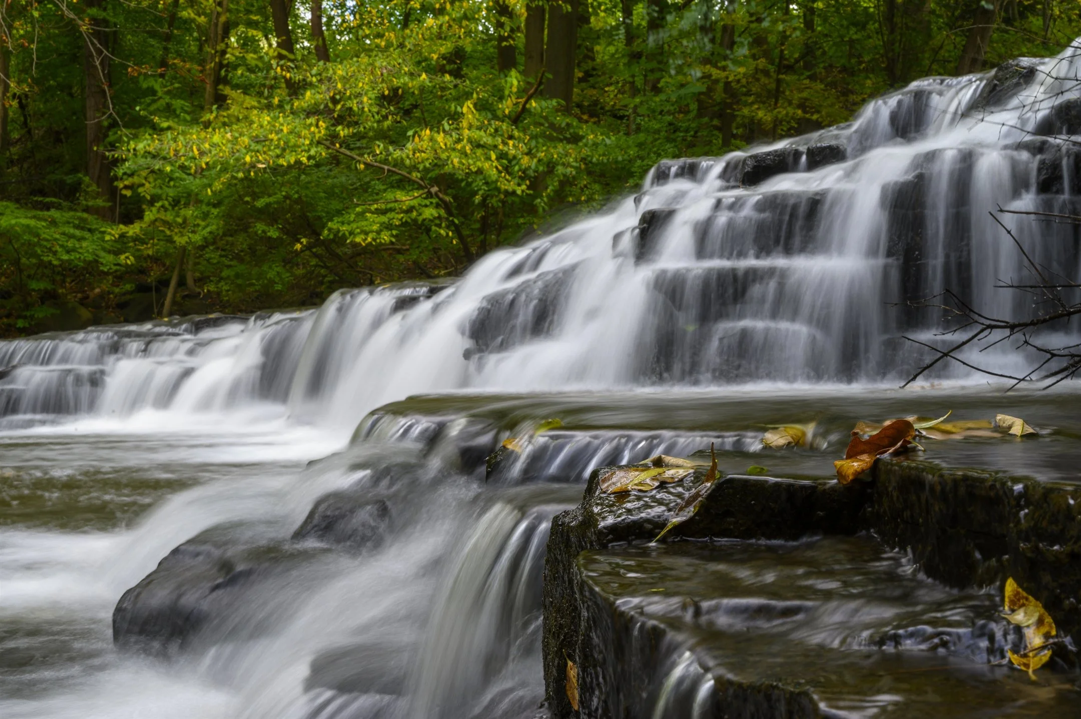 Cascading waterfall in a forest with rocks and autumn leaves.