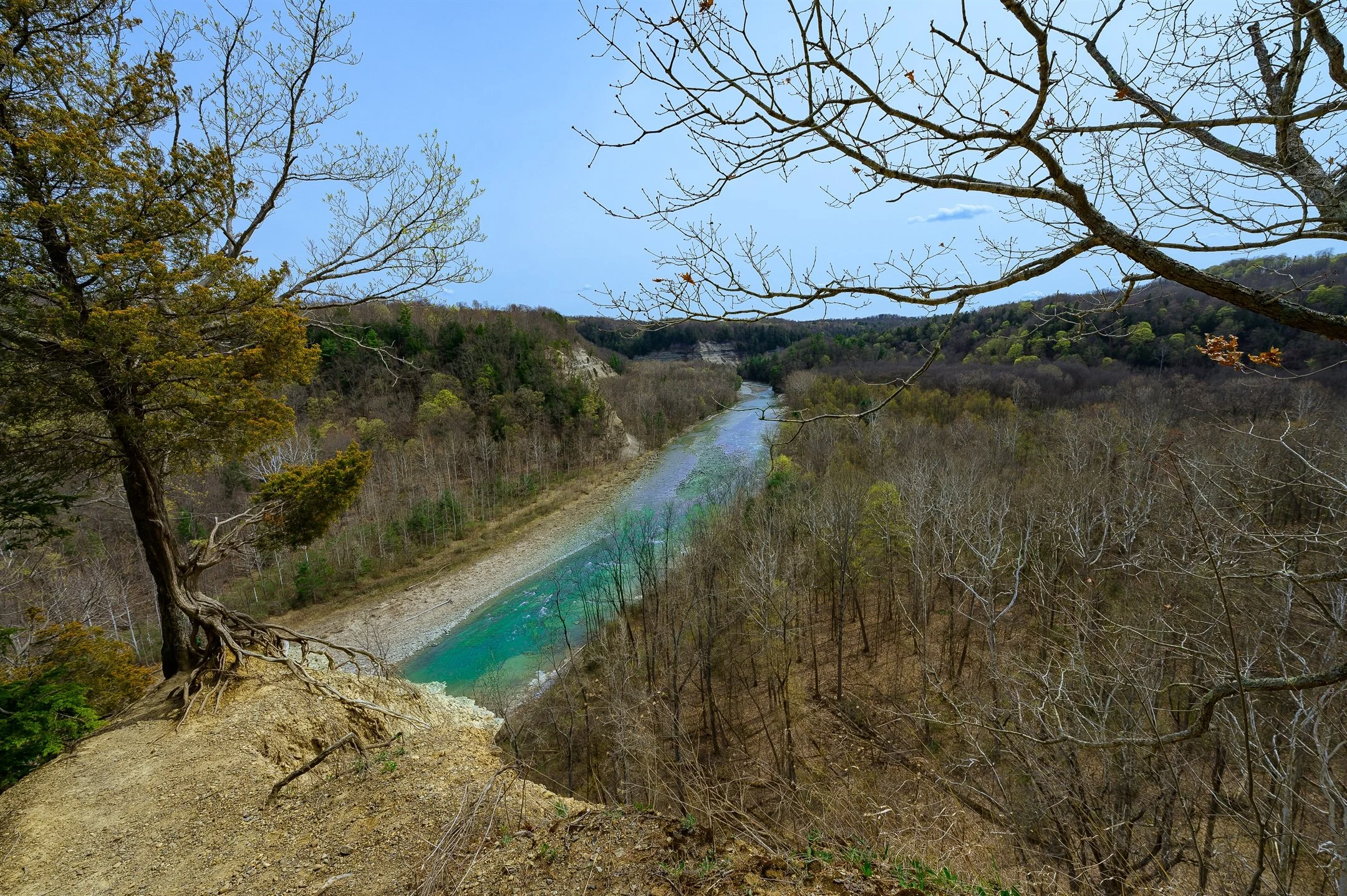 Scenic view of a river flowing through a forested canyon with trees in the foreground and hills in the distance.