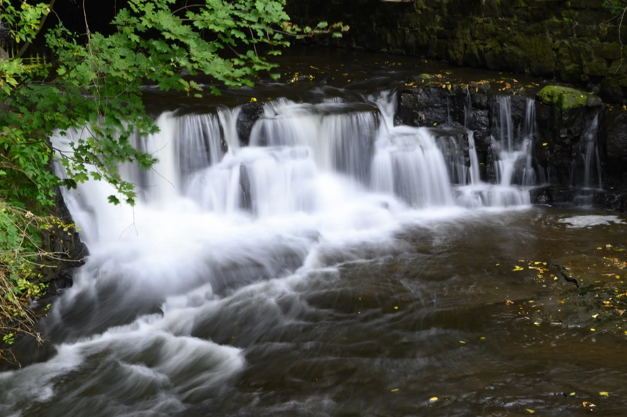 Small waterfall flowing over rocks in a forest with green foliage.