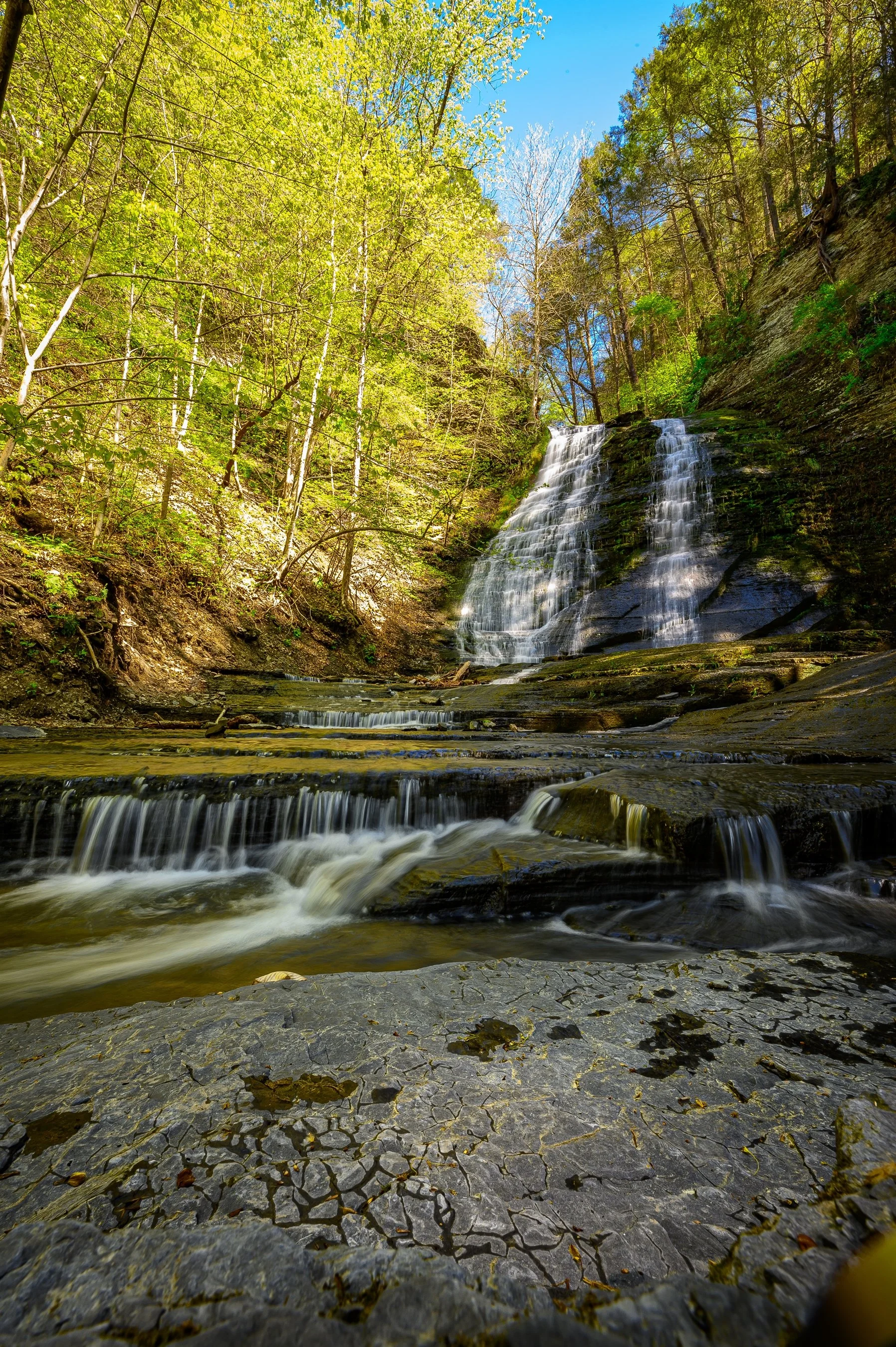 Waterfall cascading over rocks in a forested area with green trees and a clear blue sky.