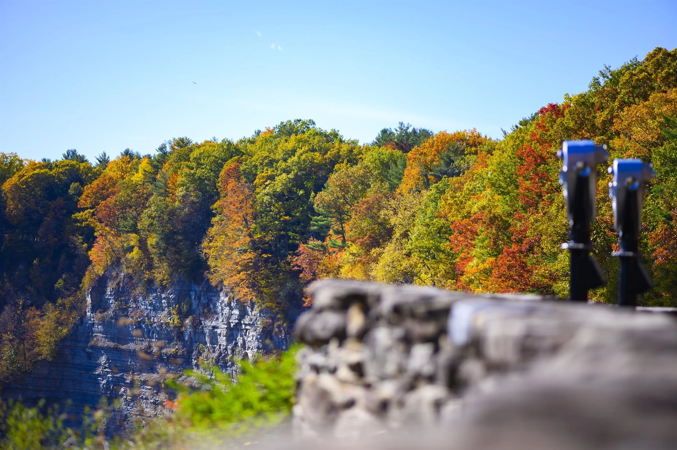 Autumn foliage on trees by a rocky cliff with binoculars and a stone wall in the foreground under a clear blue sky.