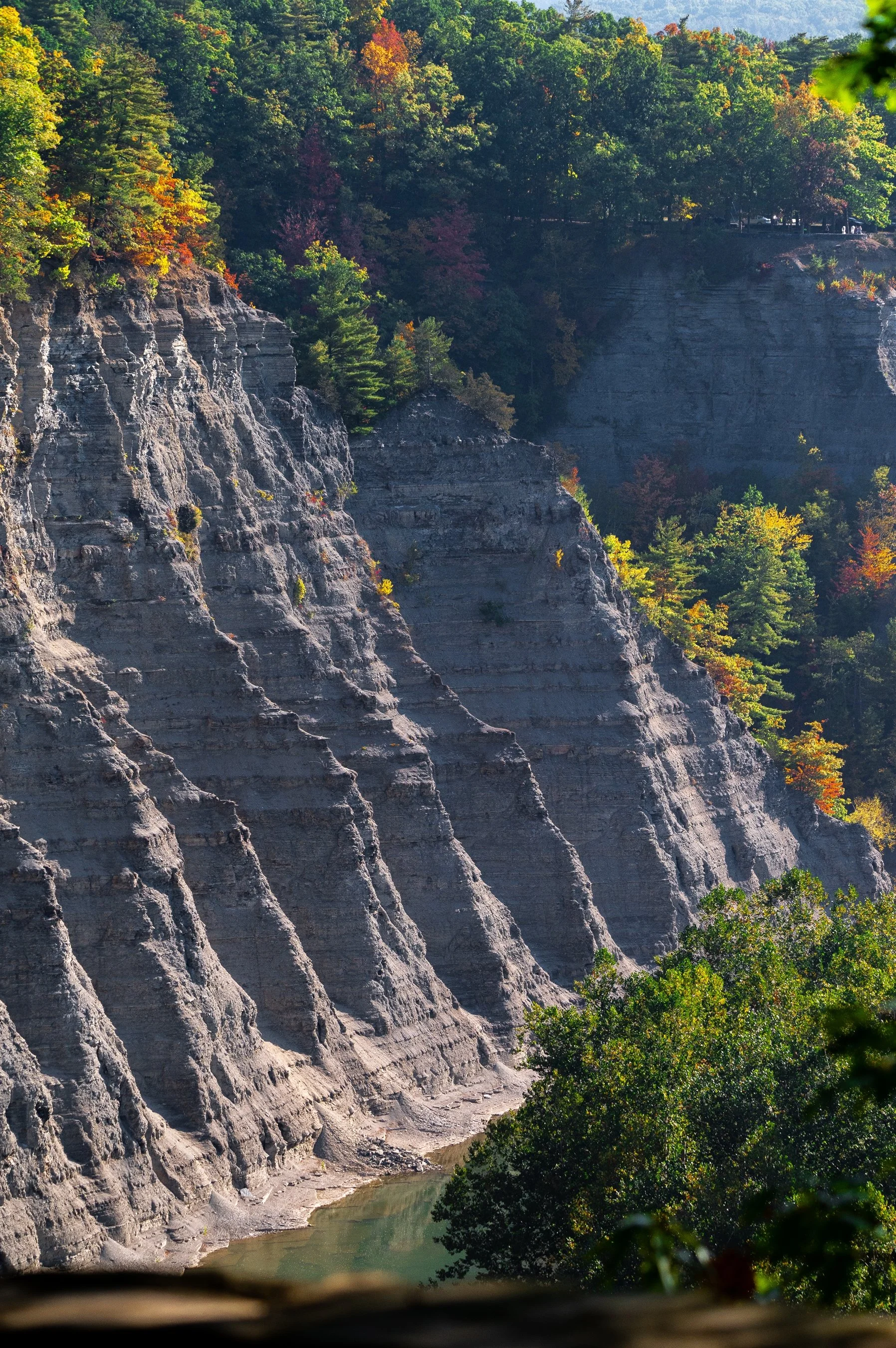 Rock face with tree line above in Letchworth State Park, featuring steep cliffs and autumn foliage.