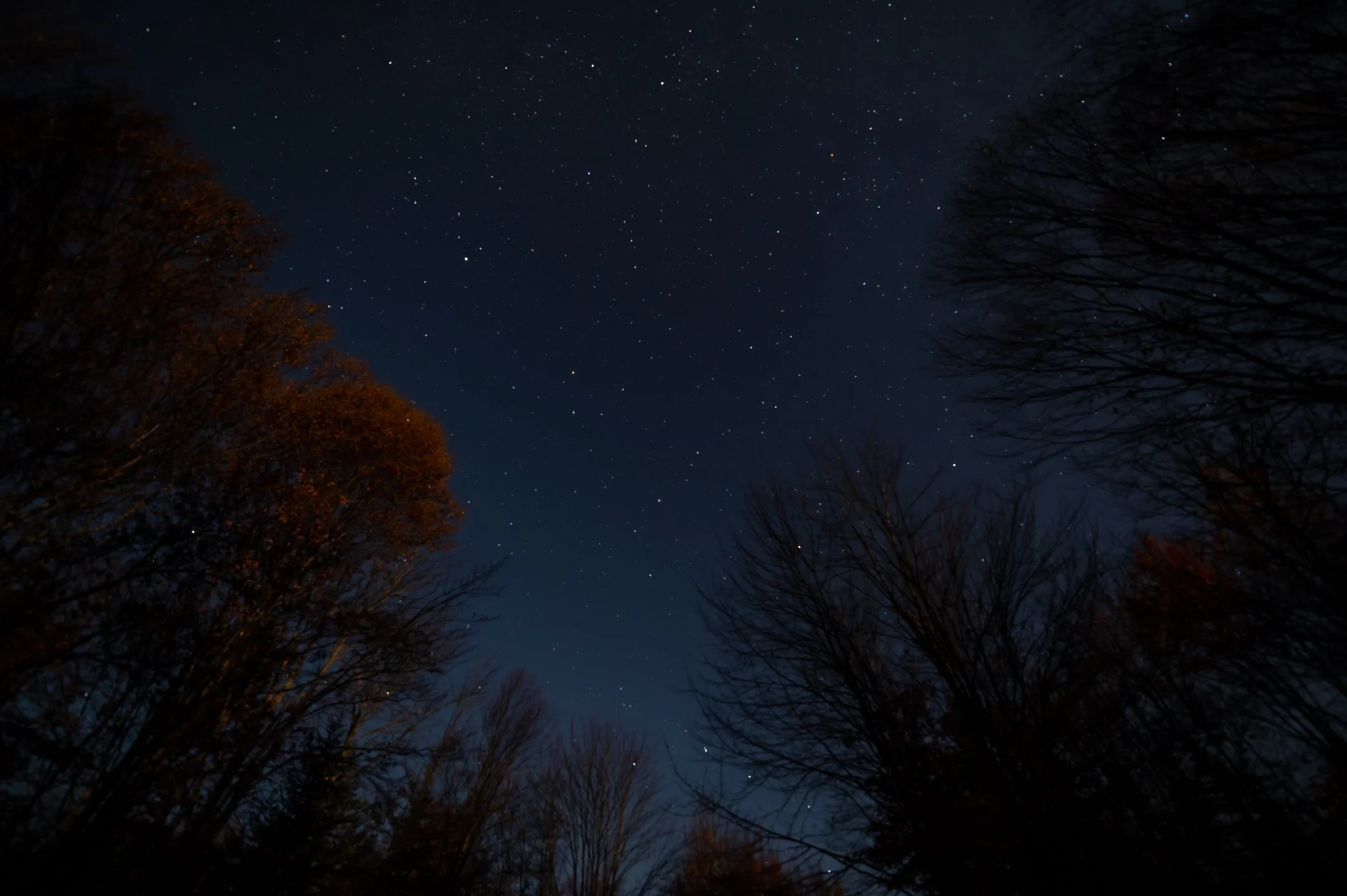 DSC_7660_2160_1437.jpg
