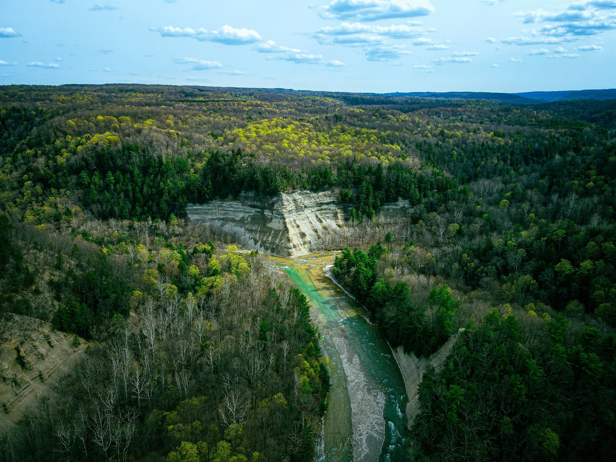 Aerial view of a lush forest landscape with a winding river and rocky cliffs under a partly cloudy sky.