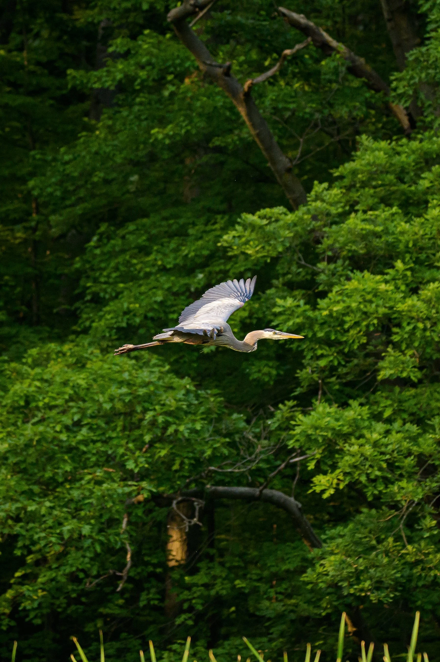 Z62_8607_1797_2700.jpg