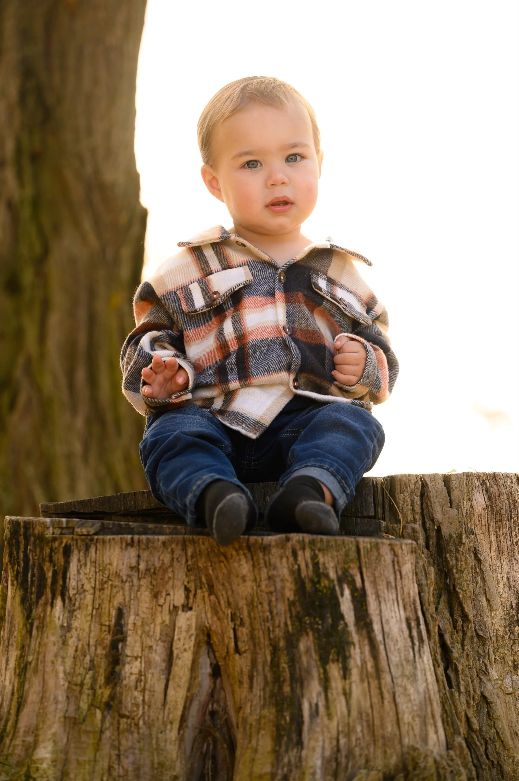 Child wearing a plaid shirt sitting on a tree stump outdoors
