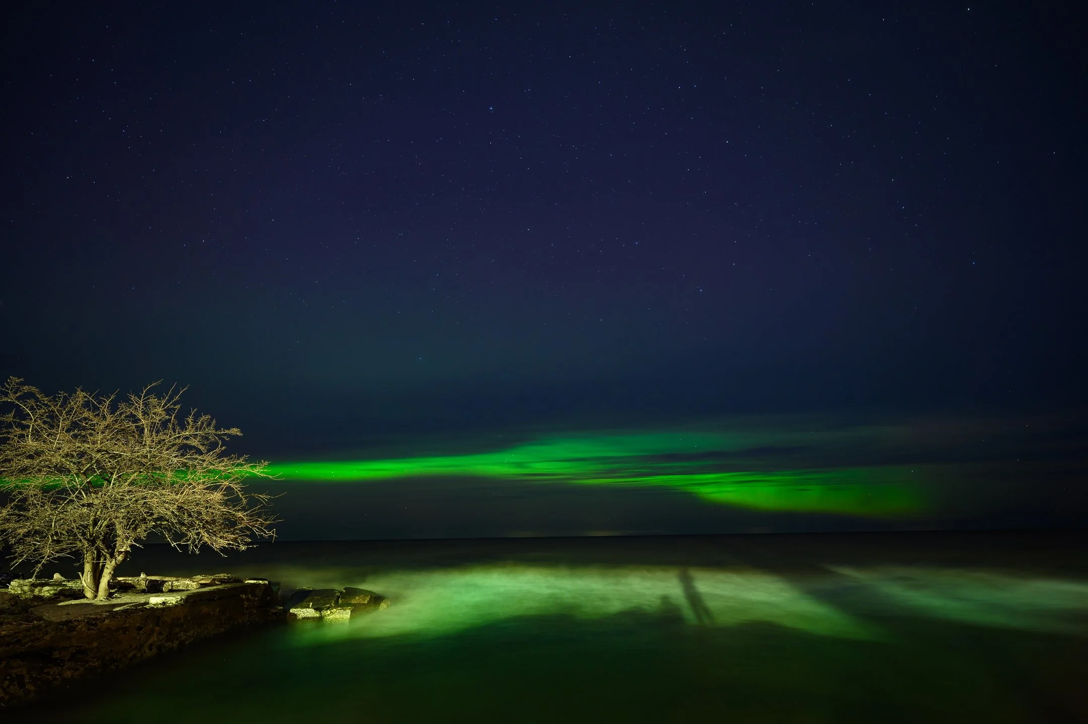 Night scene with aurora borealis over a calm lake, starry sky, and a bare tree.