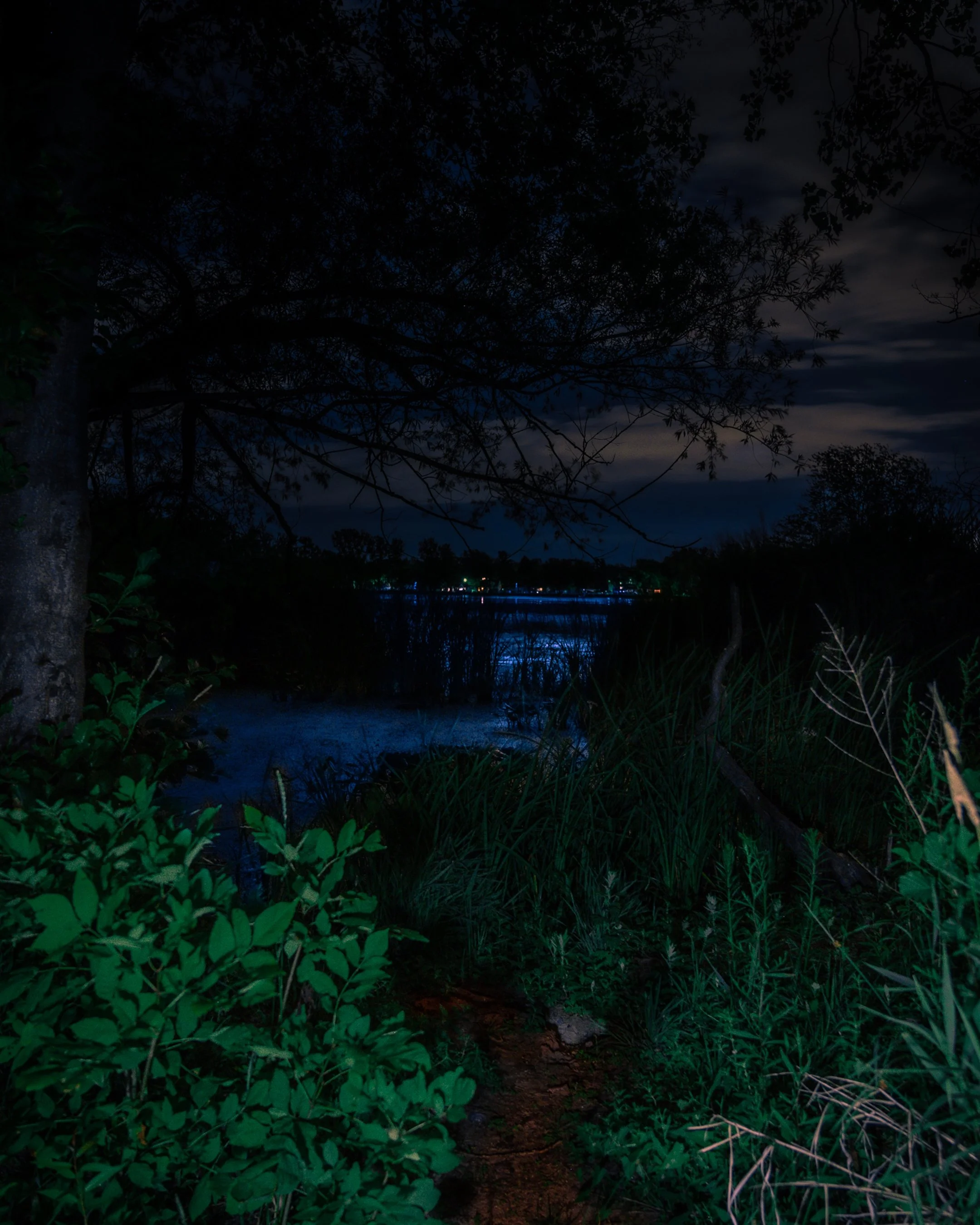 Night scene with illuminated path leading to a lake, surrounded by trees and shrubs, and distant city lights reflecting on the water.