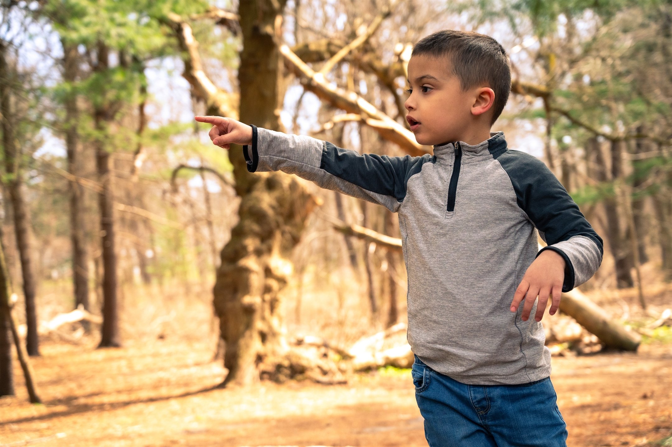 Young boy pointing in a forest with trees in the background.