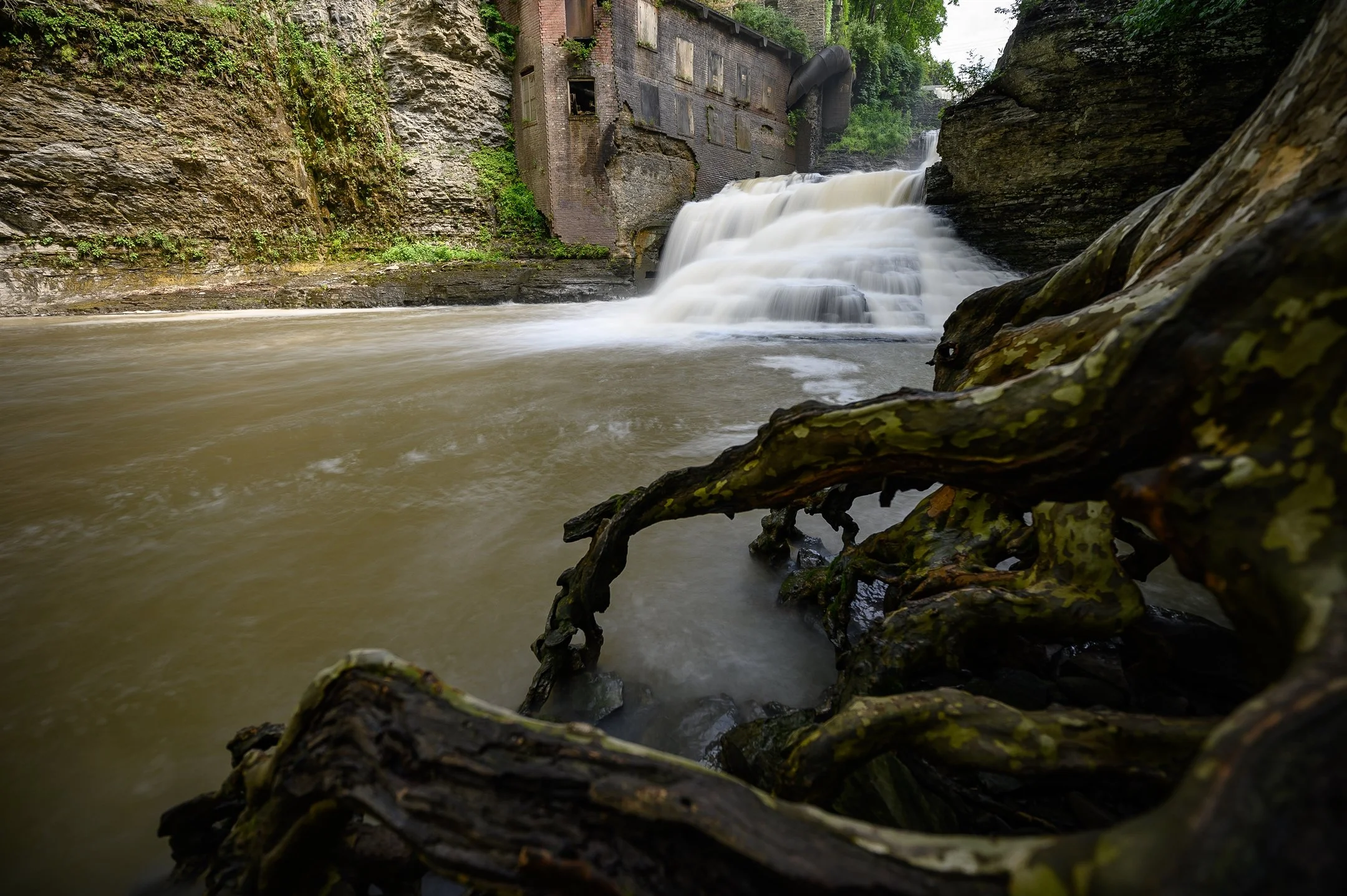 Waterfall flowing beside an old industrial building with exposed tree roots in the foreground.
