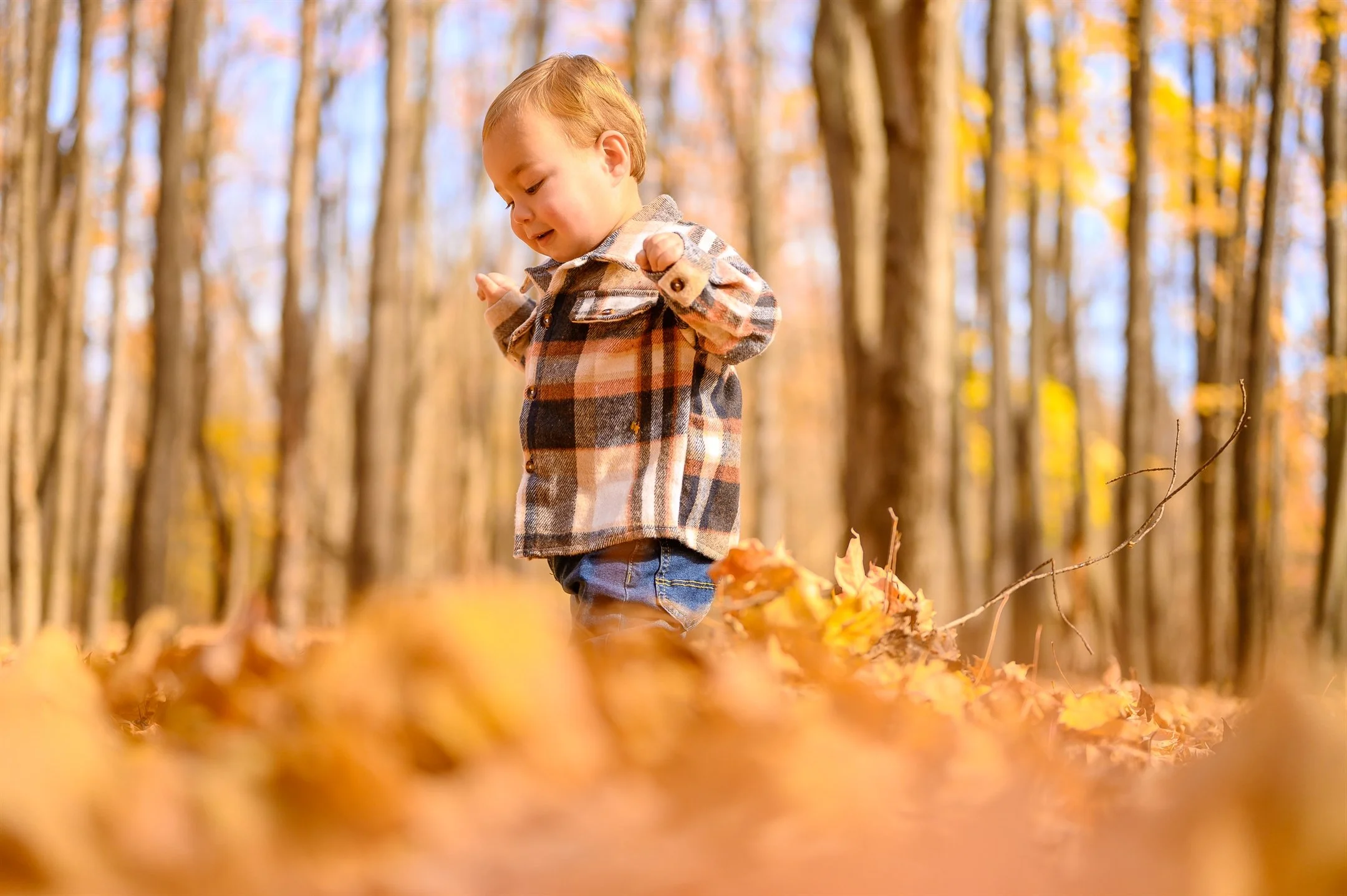 Young child playing in autumn leaves in a wooded area with colorful foliage.