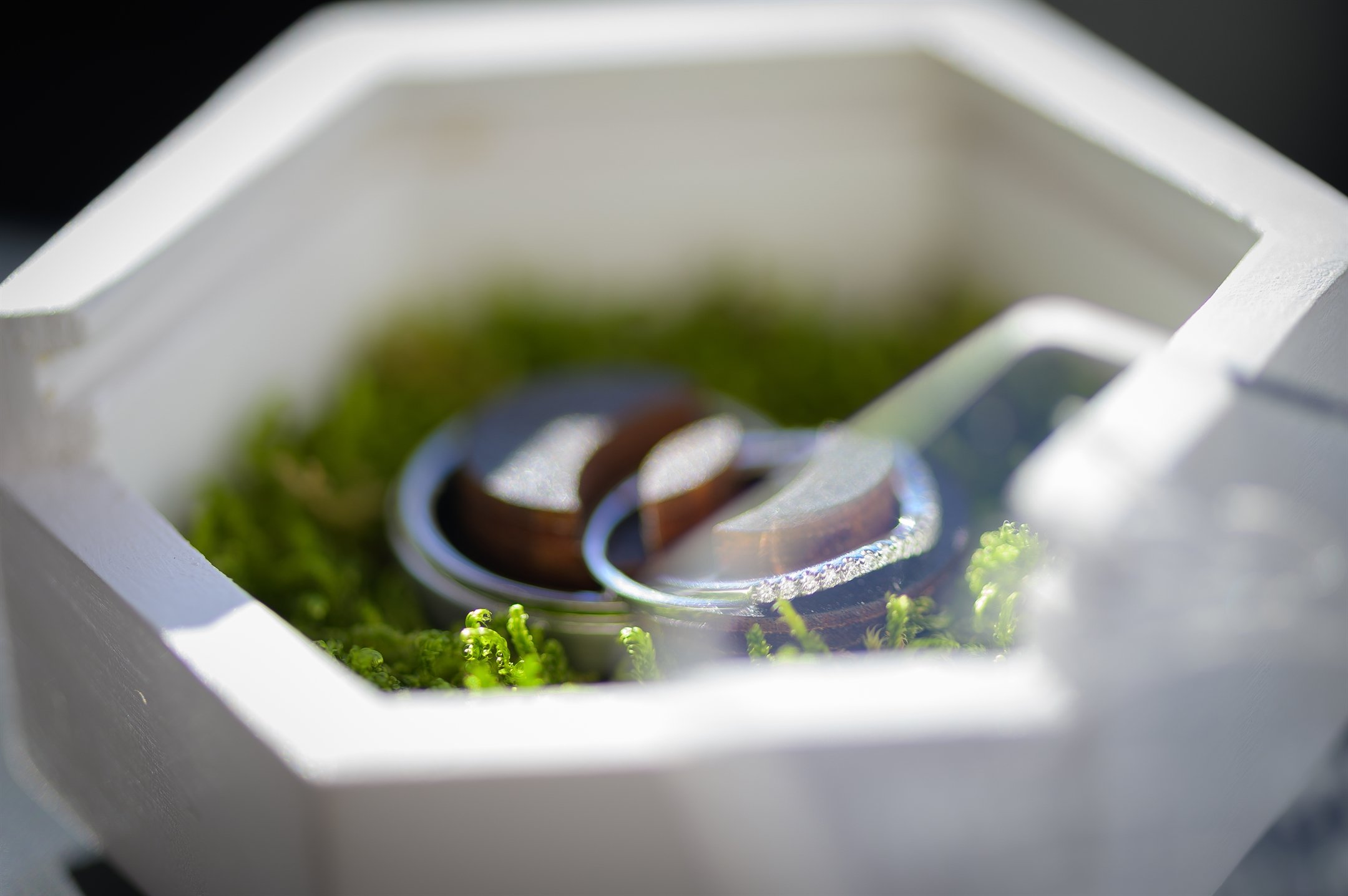 Wedding rings in a white box with green moss.
