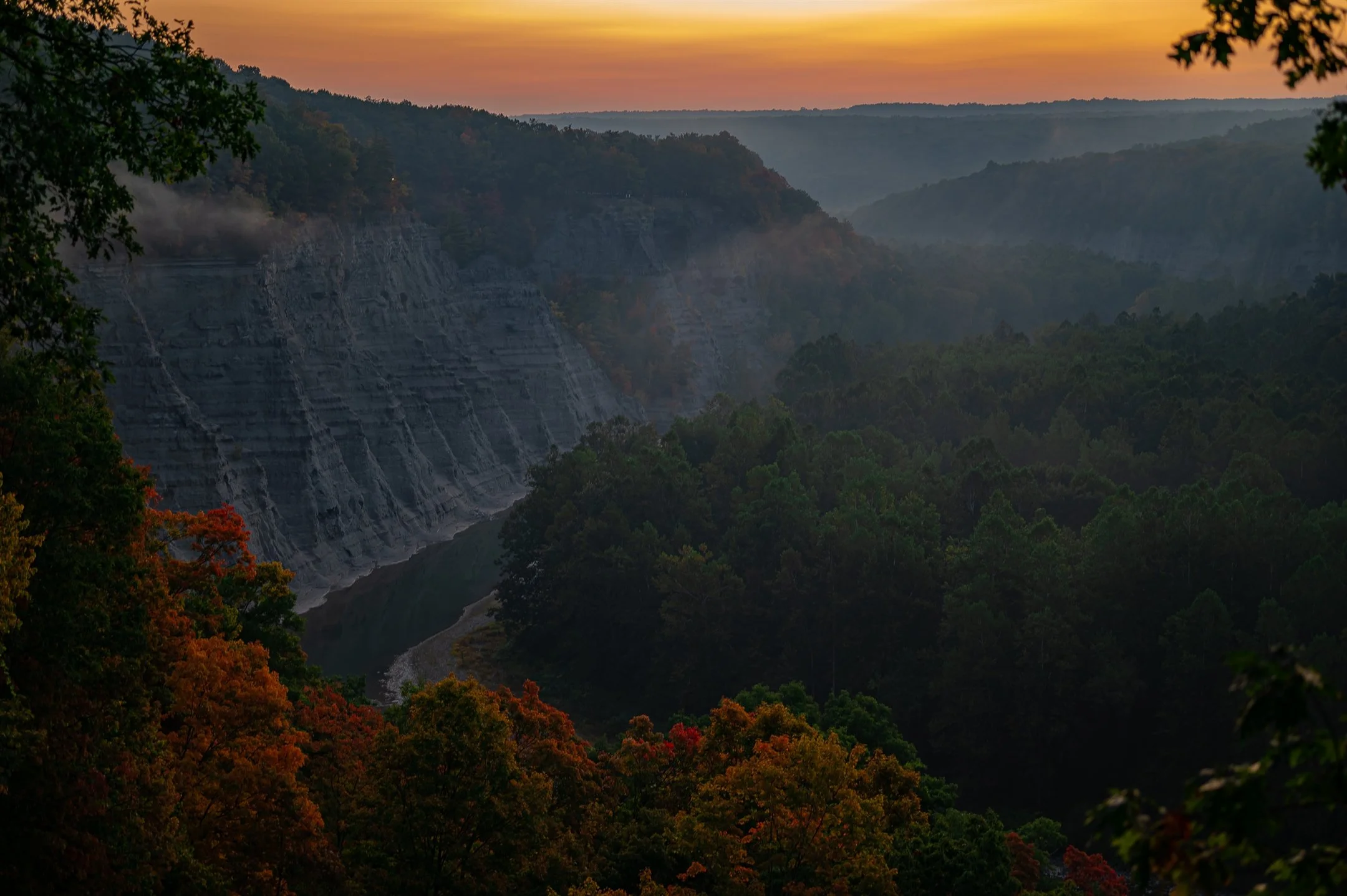 Scenic view of a forested gorge at sunrise, with vibrant autumn foliage and mist over the trees, creating a dramatic landscape.