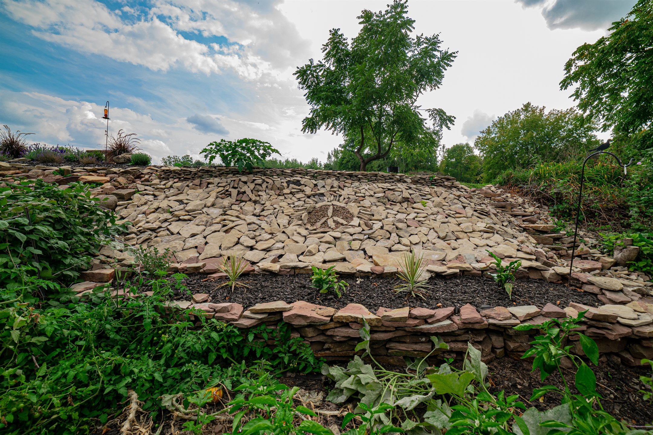 DSC_6556_2160_1437.jpg