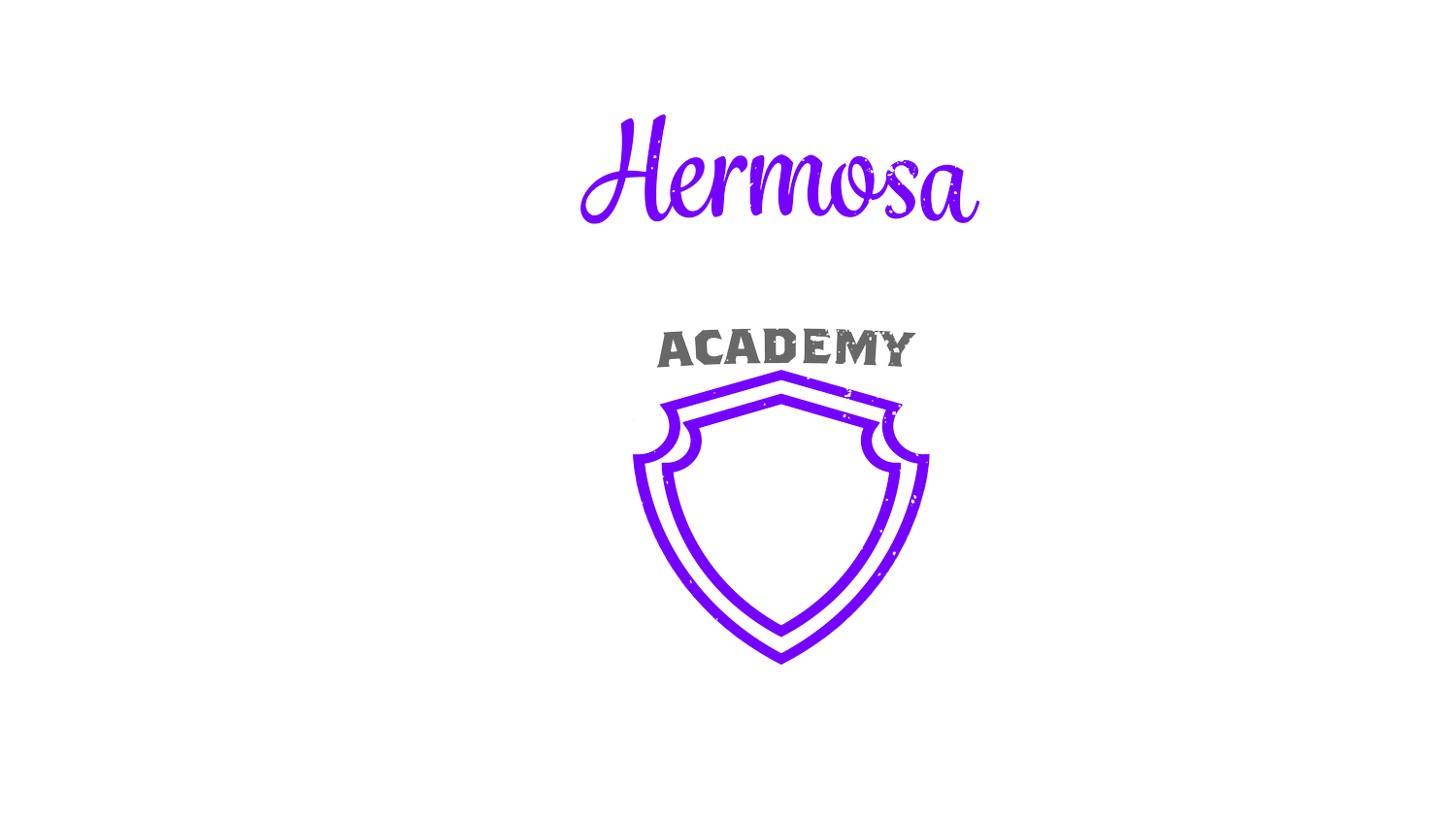Hermosa Volleyball Academy