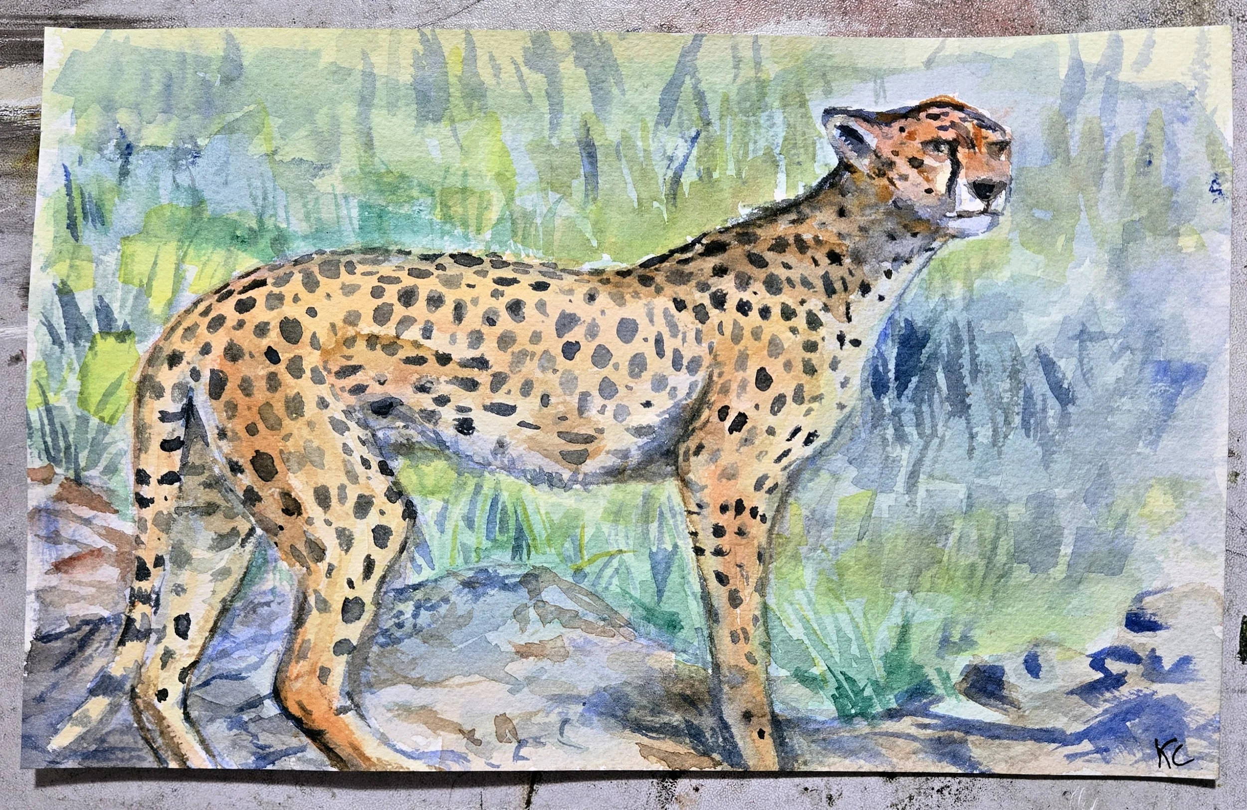 Cheetah_Watercolor.jpg