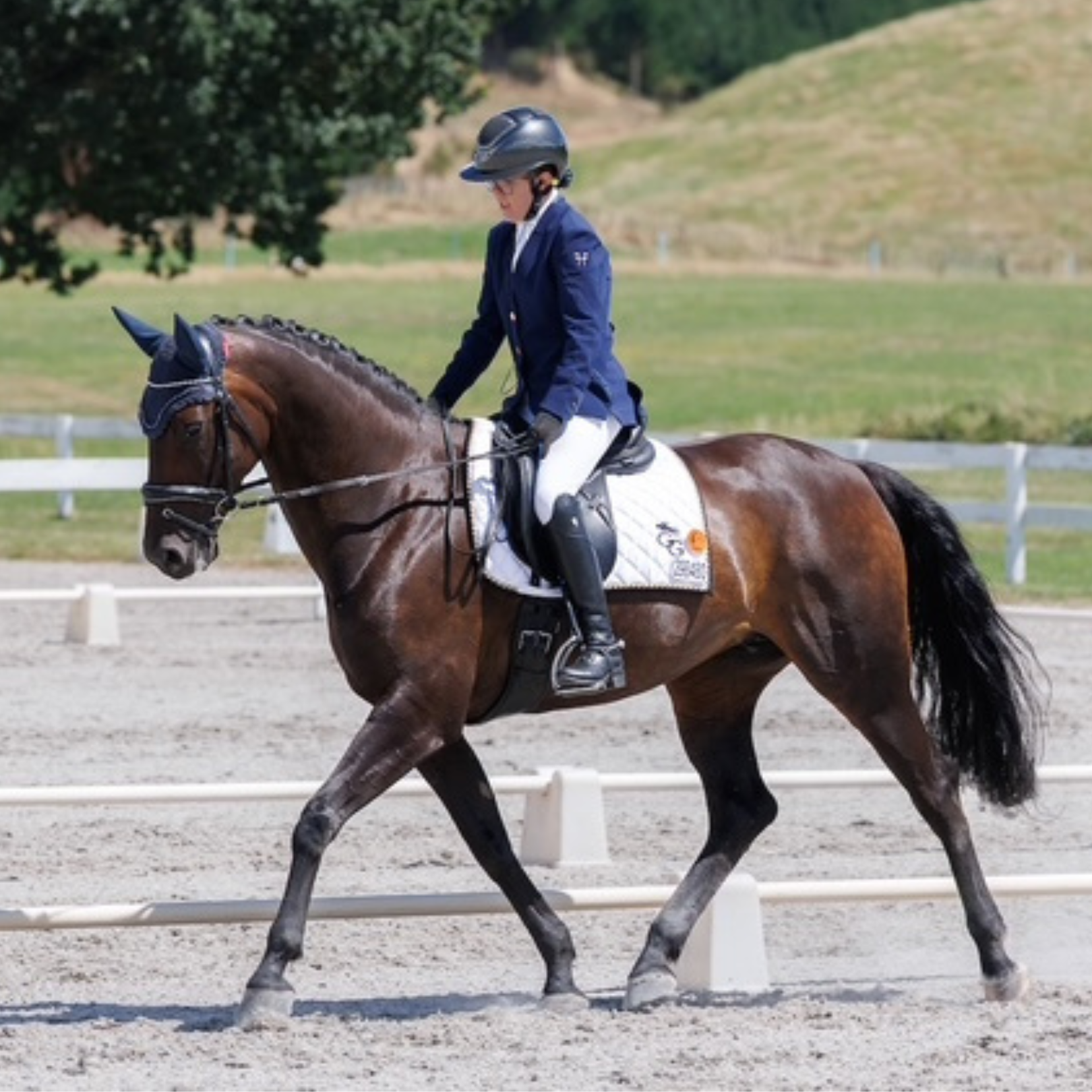 Natalie James - Para Dressage
