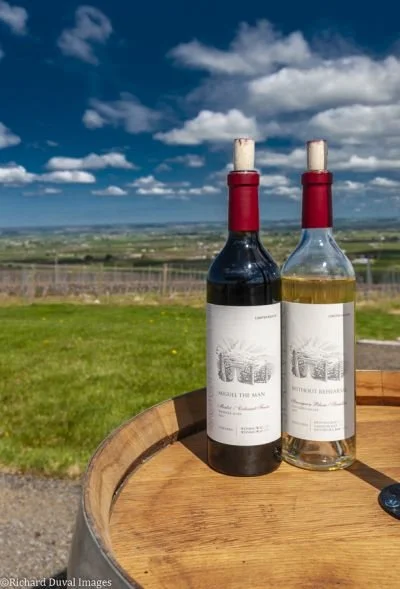 Sean P. Sullivan Spotlights Sagemoor Estates in Northwest Wine Report