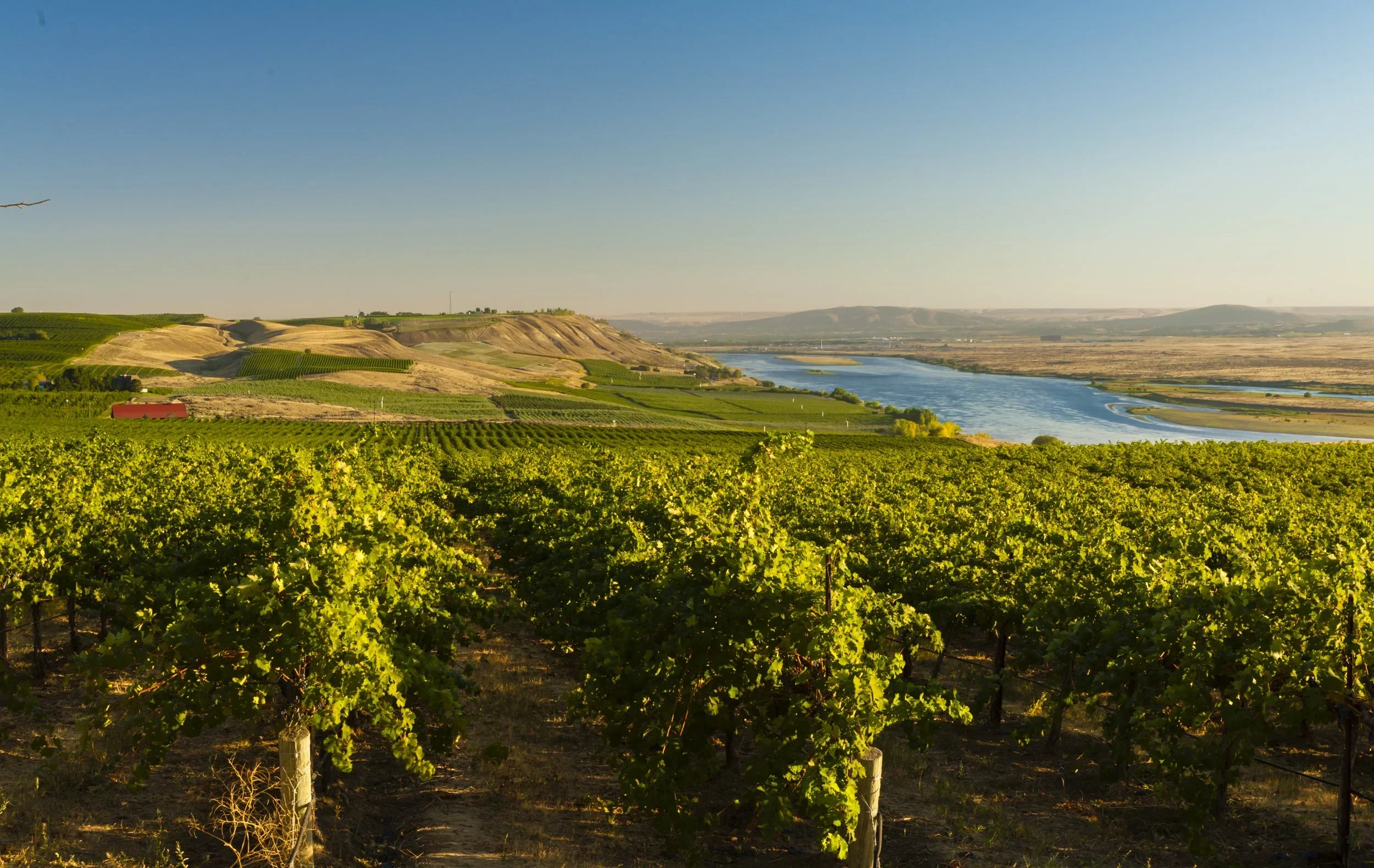 Owen Bargreen Reviews Our New Vineyard-designate Cabernet Lineup, Including a 94-Point Score