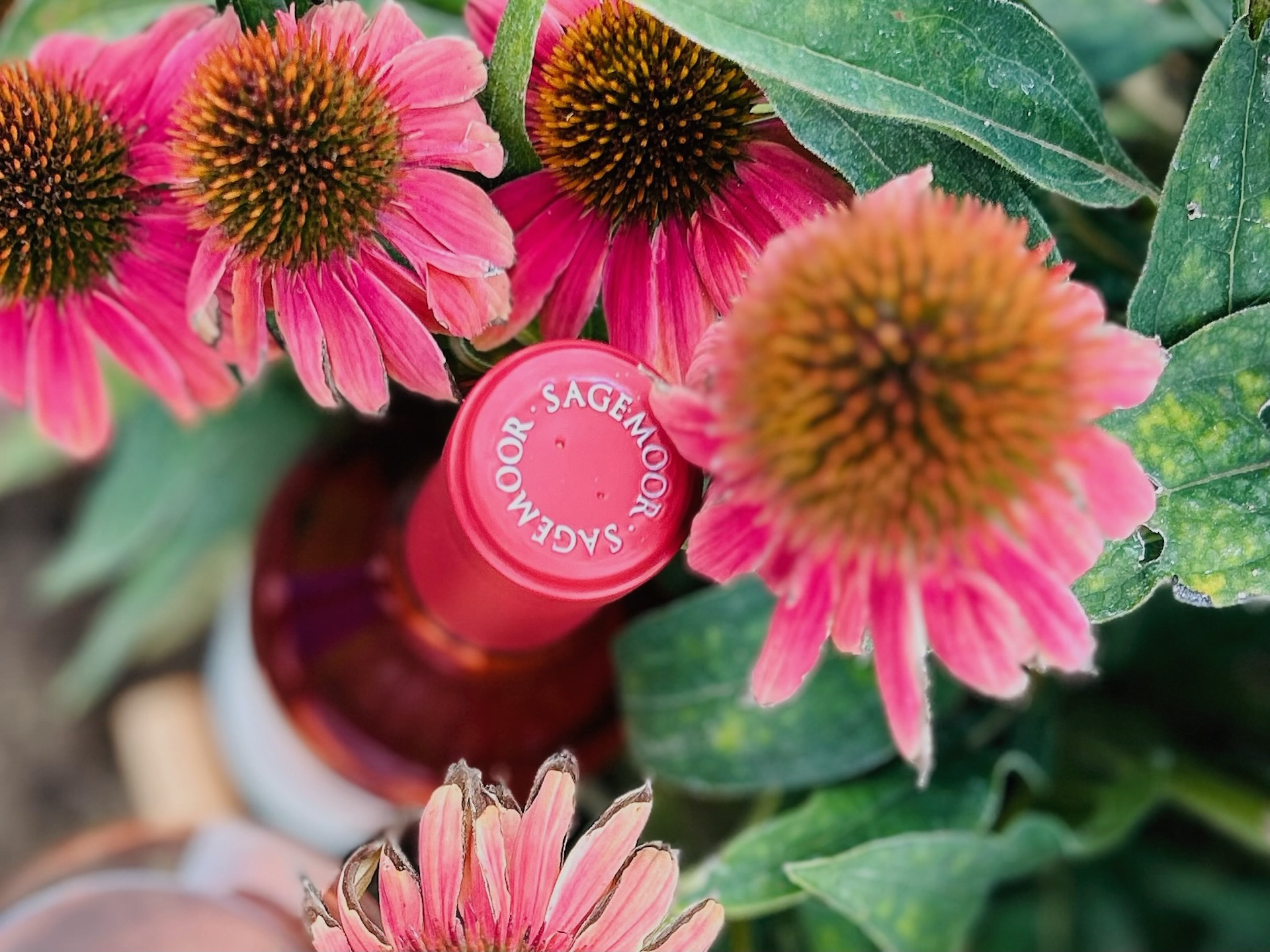 March: A Minute With Mandy