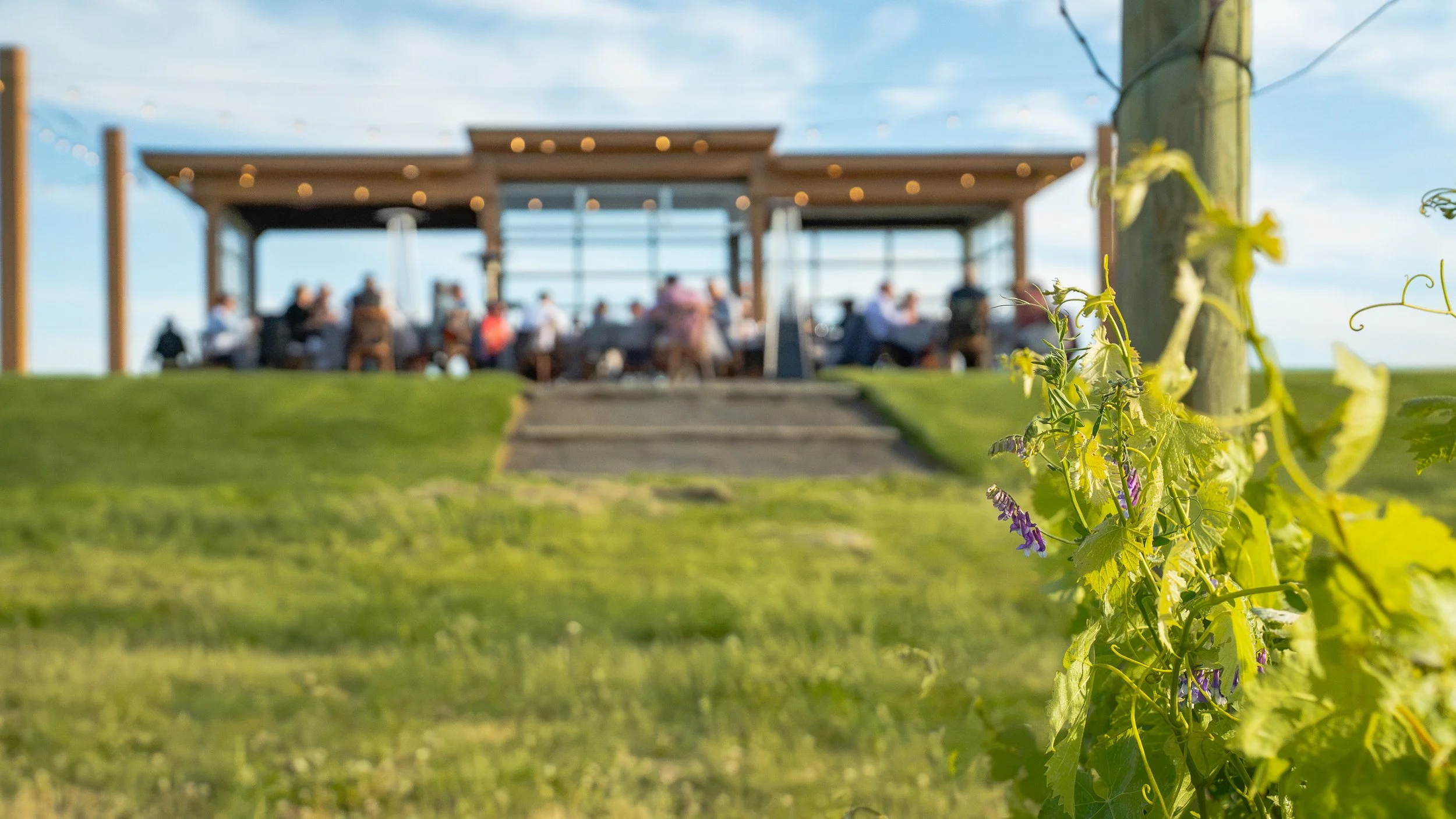 Southwind at Sunset with Foolhardy Vintners | Glass House