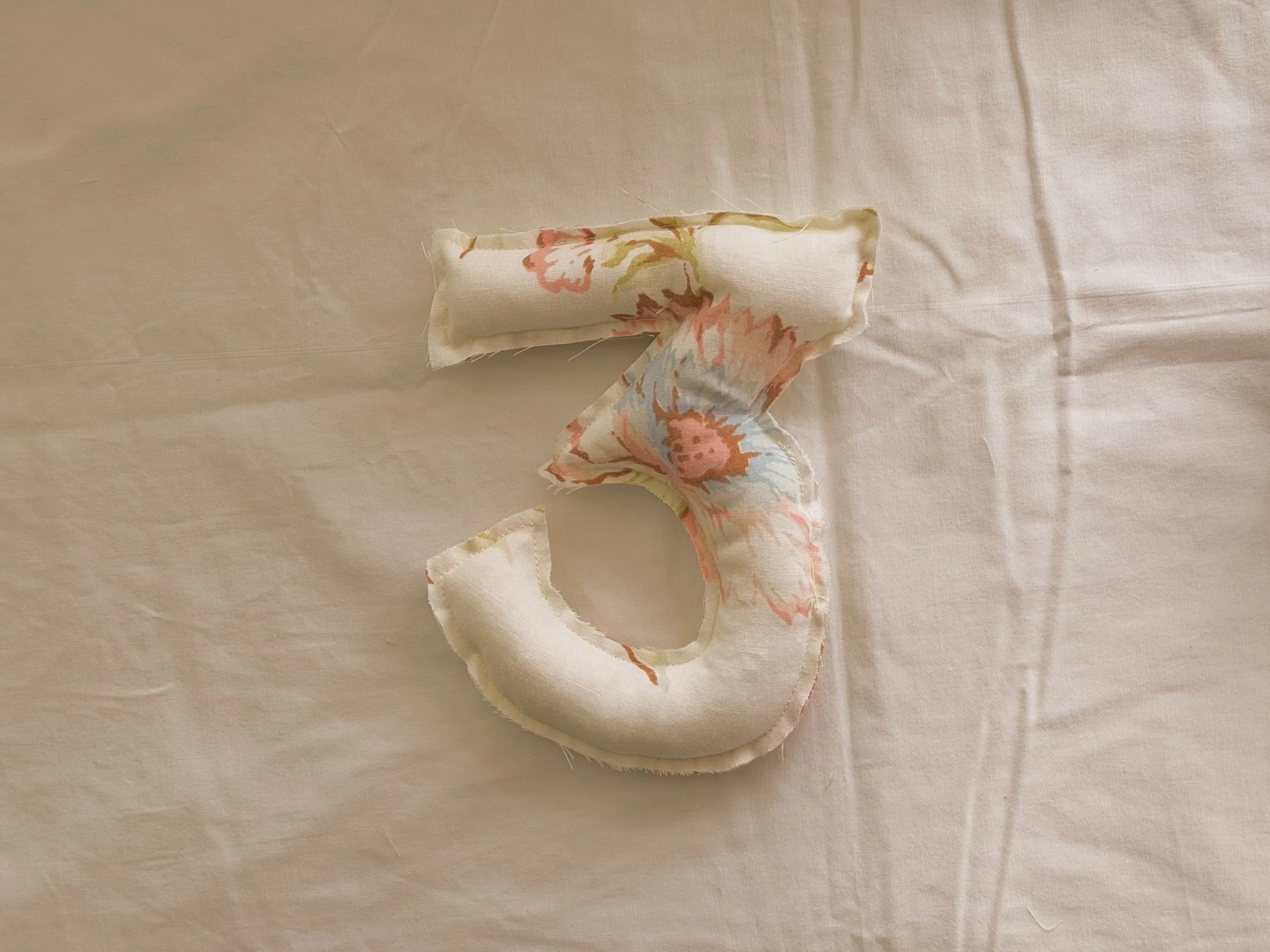 C92B5C52-A9AD-40DB-BDC5-A2B94A5B8B8B.JPG