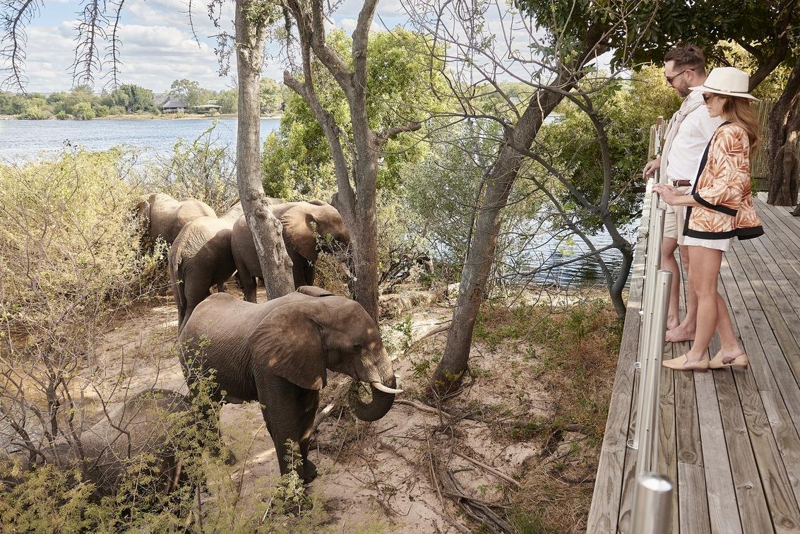 kandahar_island_-_elephants.jpg