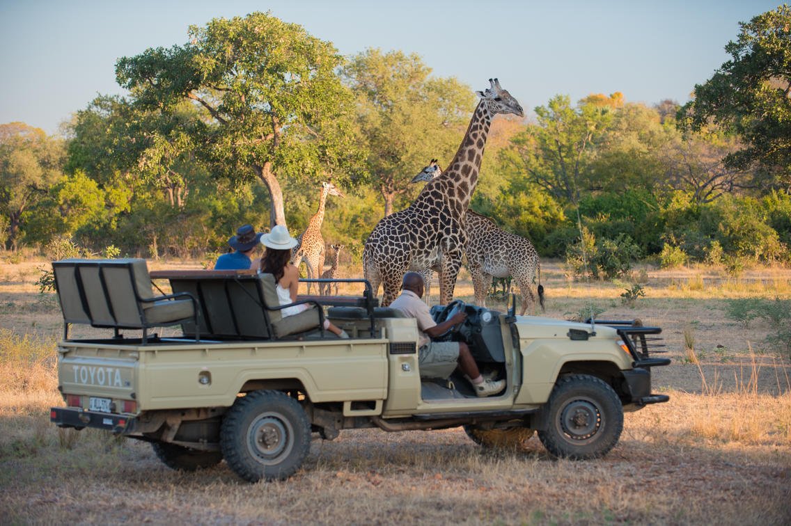 gbp-rps-luangwa-2017-1277.jpg