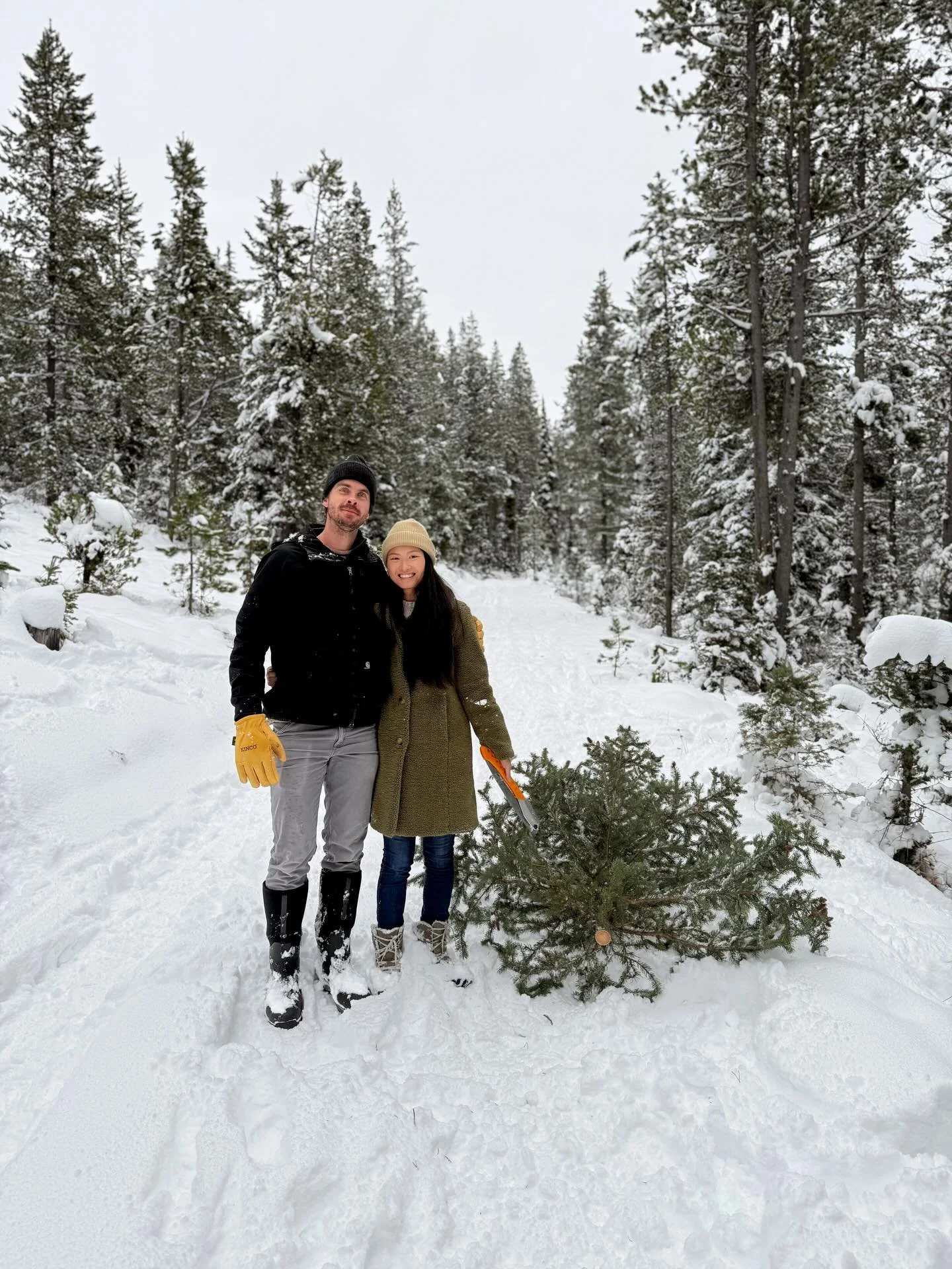 A $5 tree and a whole lot of Montana magic. 🎄🌲❄️
-
-
-
-
-
#BozemanMontana
#MontanaLife
#BozemanRealtor
#MontanaChristmas
#CutYourOwnTree