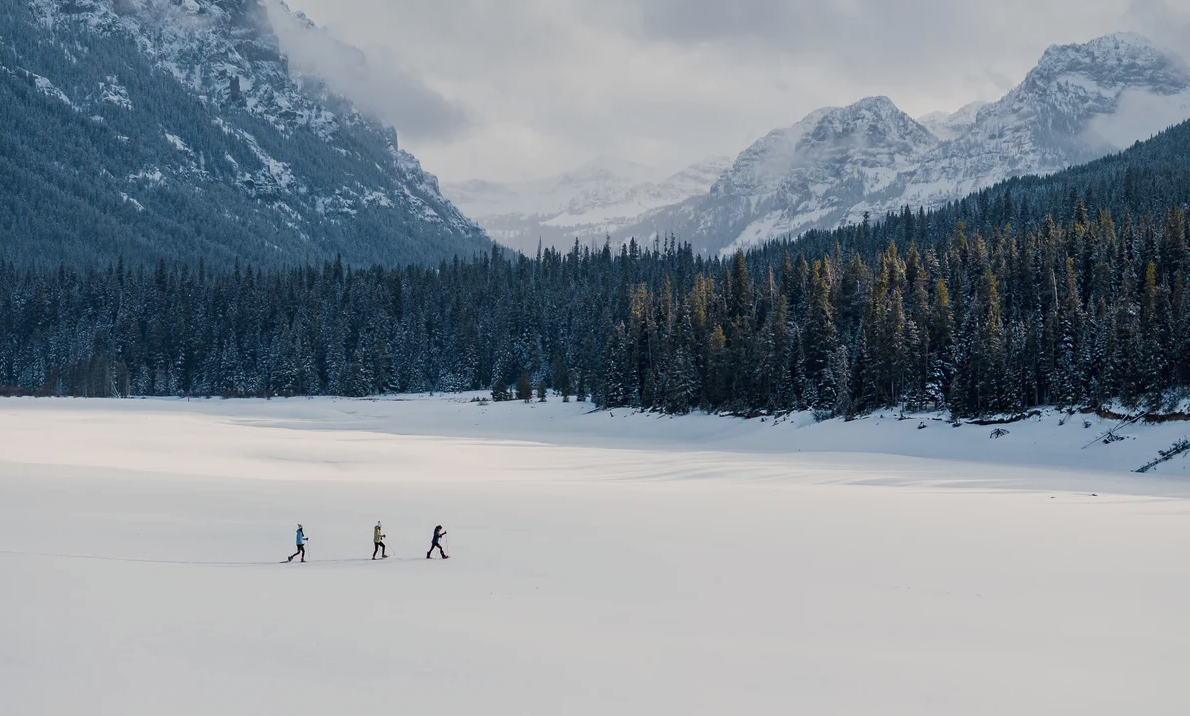 2025 MT Housing Market Report &amp; 2026 Outlook