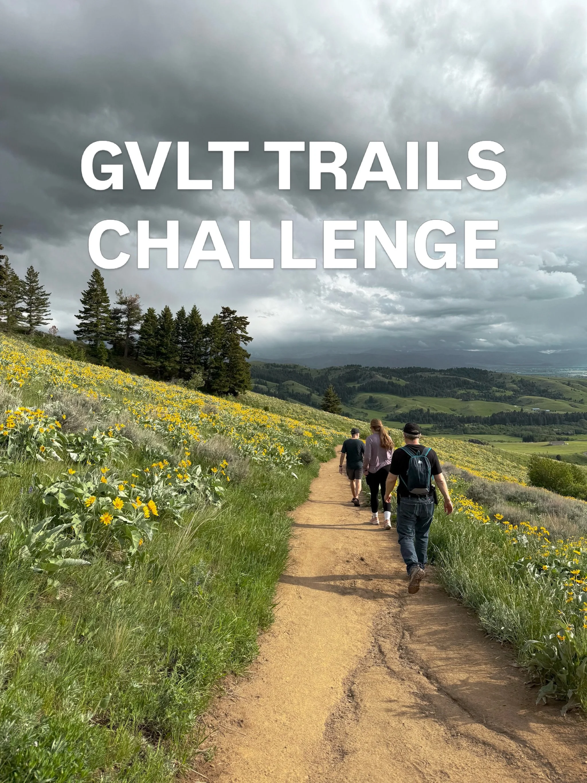 From June 1-30, track and log your hiking, walking, biking, and running trail miles to help GVLT Trails Conservation reach their ambitious goal of 100,000 miles! Each mile logged on a trail during the annual Summer Trails Challenge will unlock $1 fro