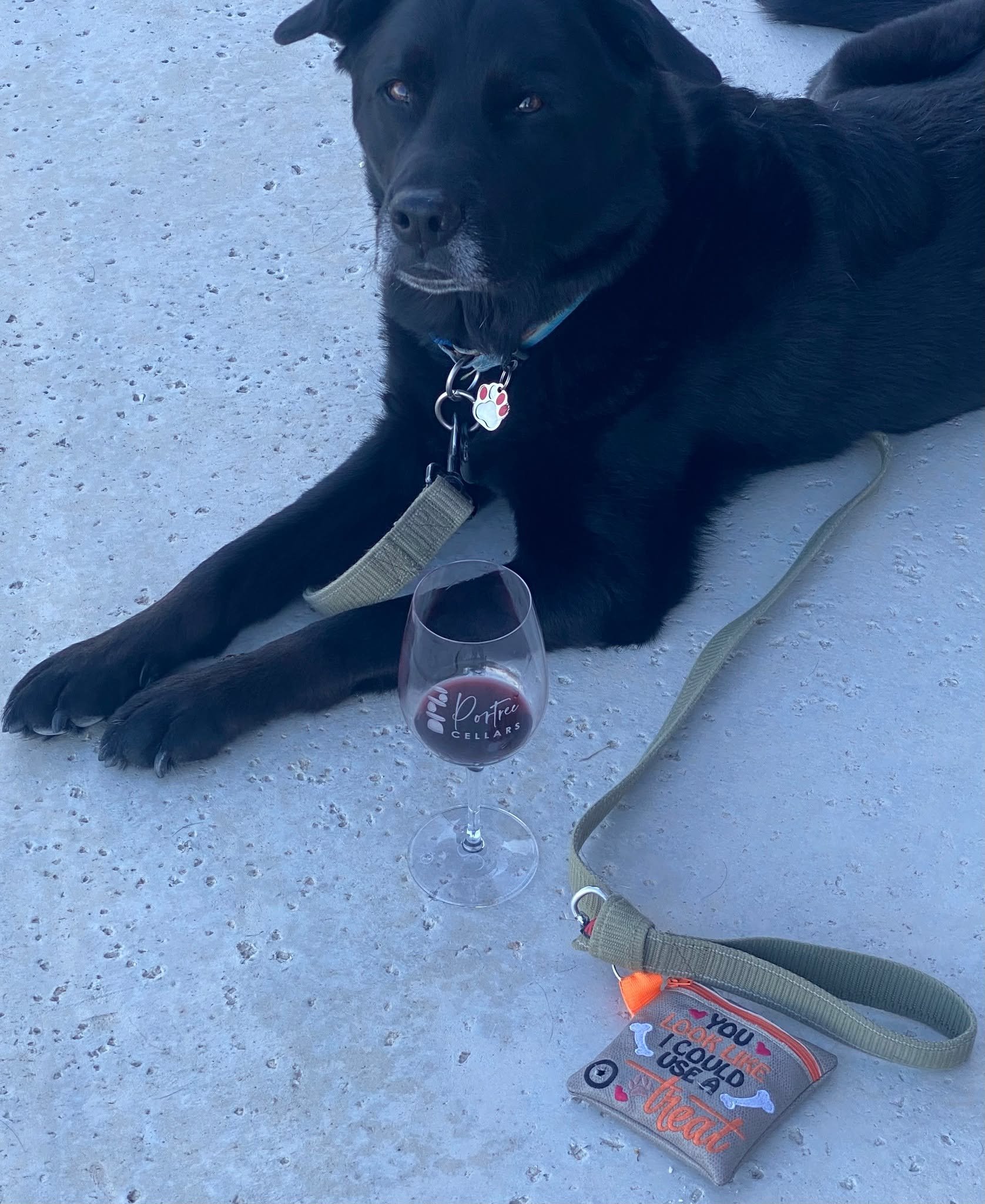 Couldn't say it better...you could definitely use a treat!  Stop by our tasting room and enjoy some wine, food and relaxation.  You deserve it!

#portreecellars #hyetexas #texaswine #winelover #drinktexastexas #AskForTexasWine #realtexaswine #youdese