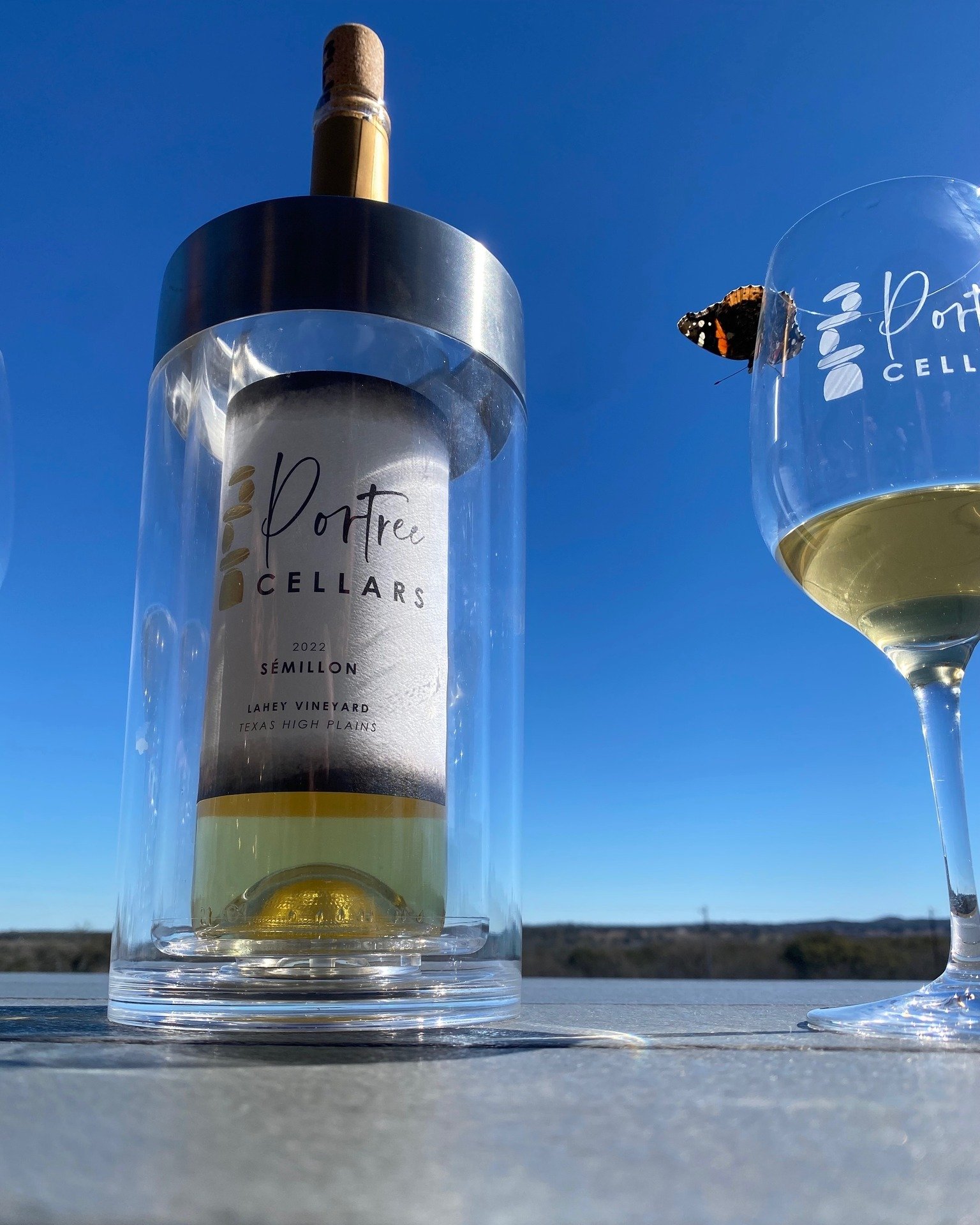 Even the butterflies love Portree Cellars wine. 

What are you waiting for?  Join us in Hye or order online.  You'll love it too!

#portreecellars #winelover #hyetexas #texashillcountrywine #askfortexaswines #realtexaswine #texaswine #butterflies
