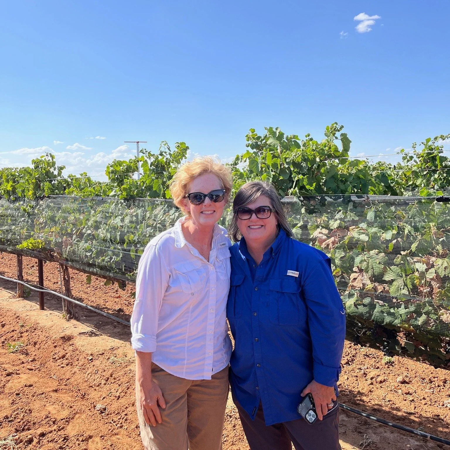 Who produces awesome grapes in Texas?  Our growers do! 

To make a great wine, start with a great grape.  Thank you for all you do to help make Texas wines delicious, accessible and award-winning!

#portreecellars #texasvineyard #texashighplains #phi