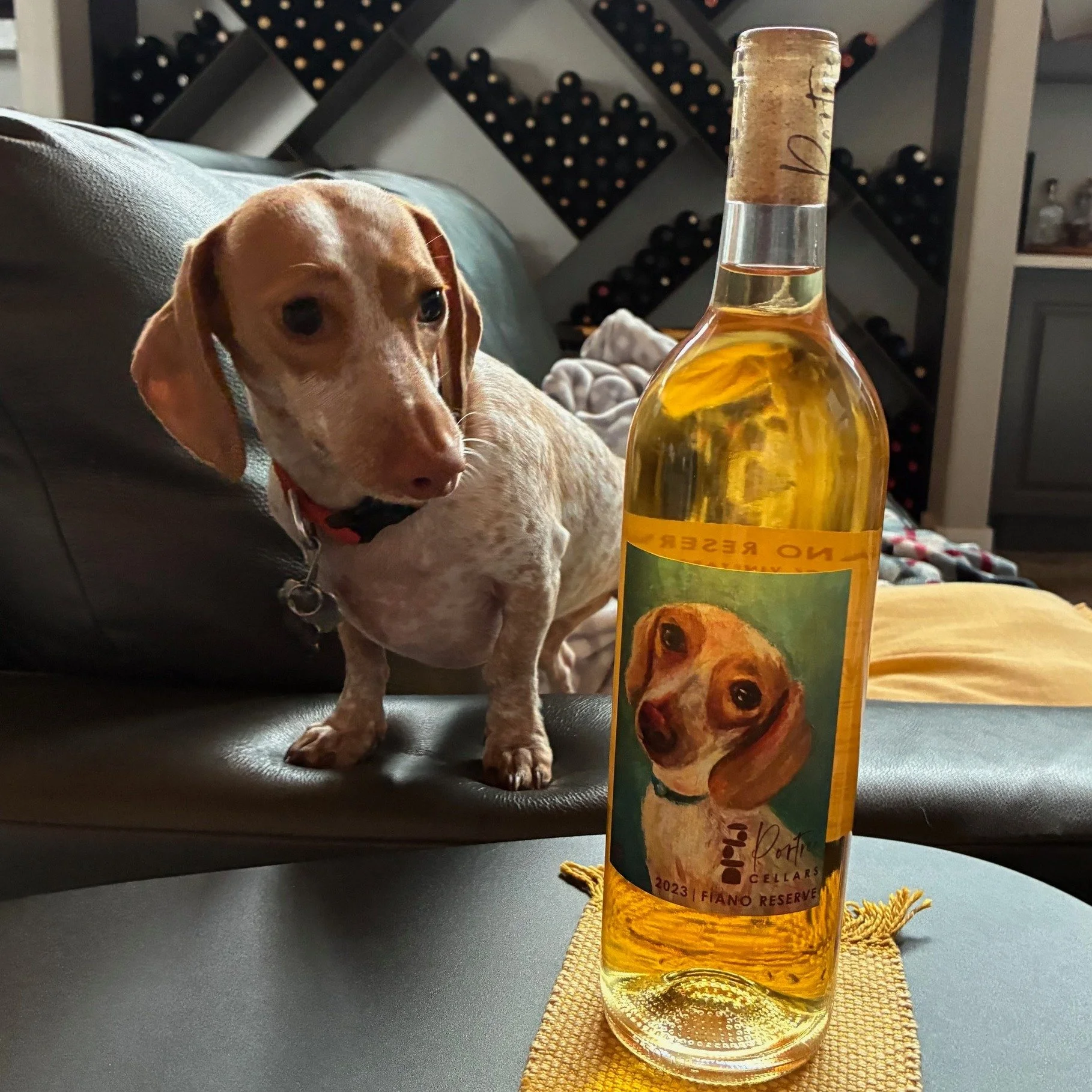 Is it possible to be inspired by someone else's pet to create something special?

YES IT IS!  When our friends Dena and Ross Johnson brought their new puppy Fiano to our tasting room so many moons ago, I KNEW that that cute puppy needed to be painted