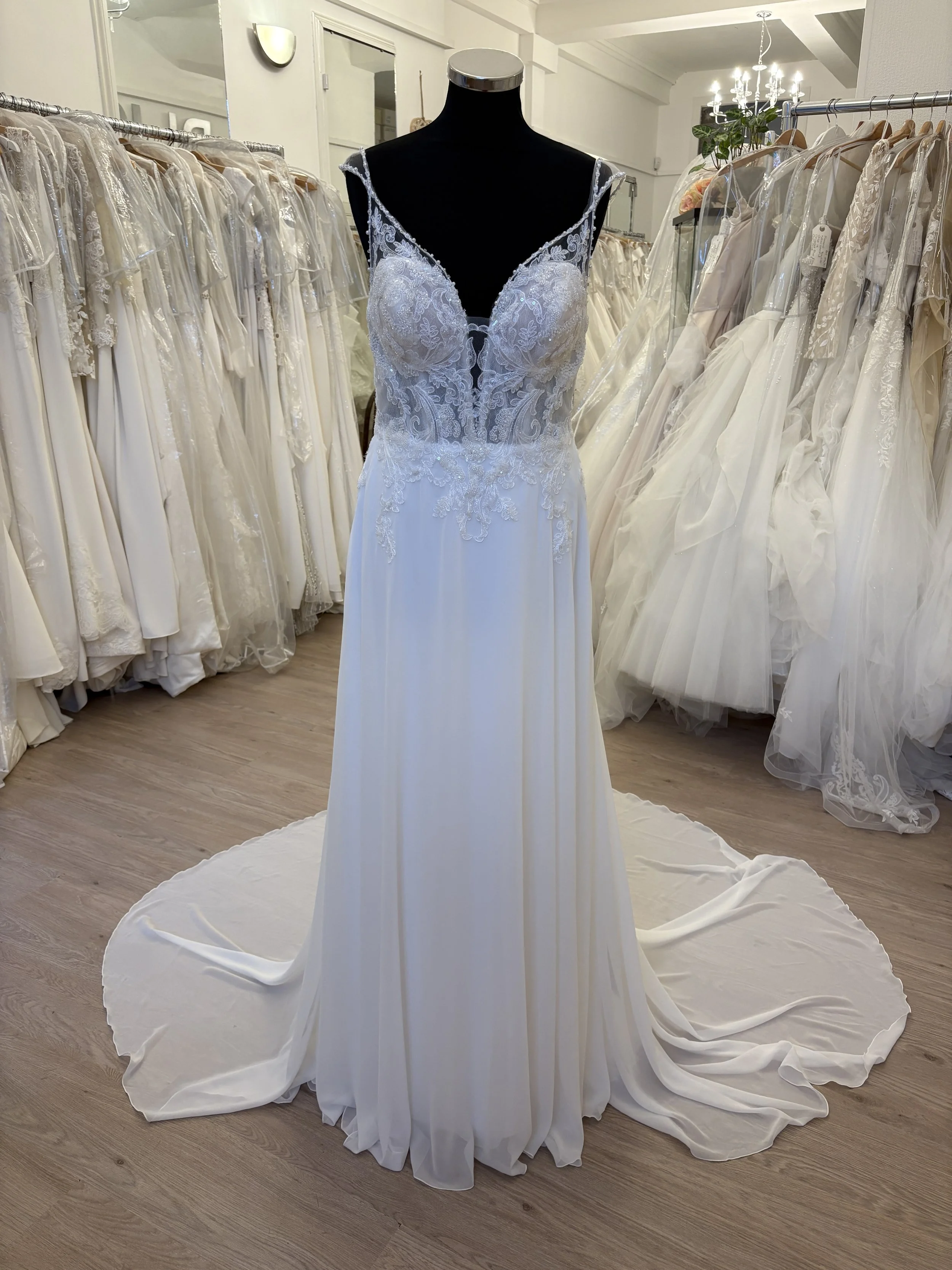 Modecca "Reece" Size 12