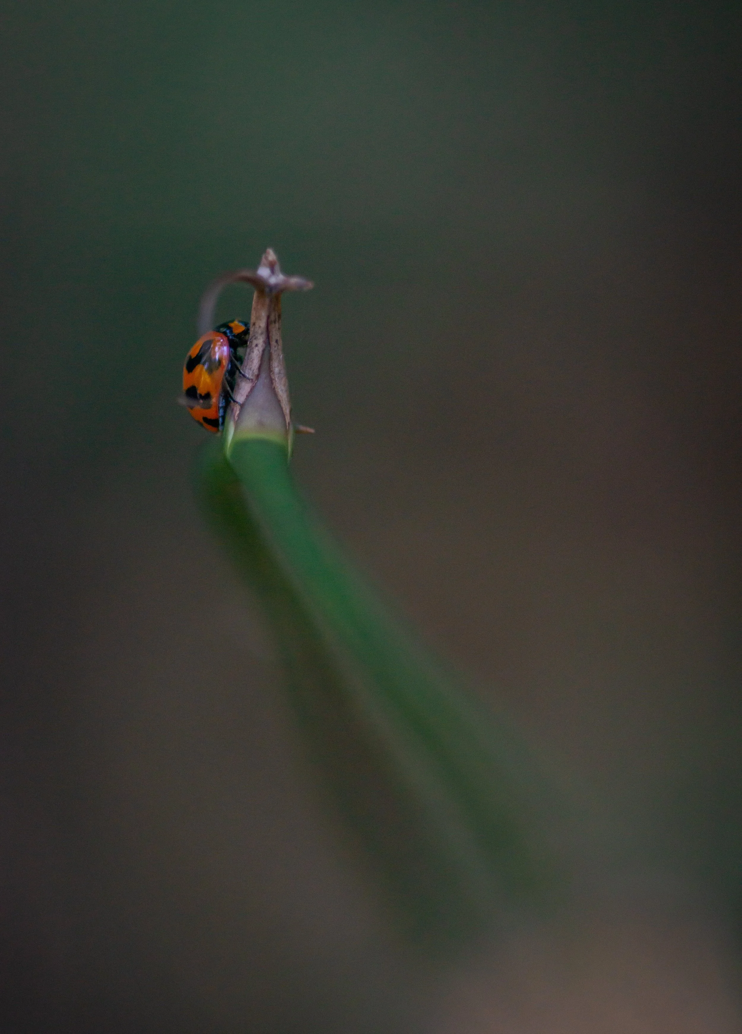 Website Portfolio-63.jpg