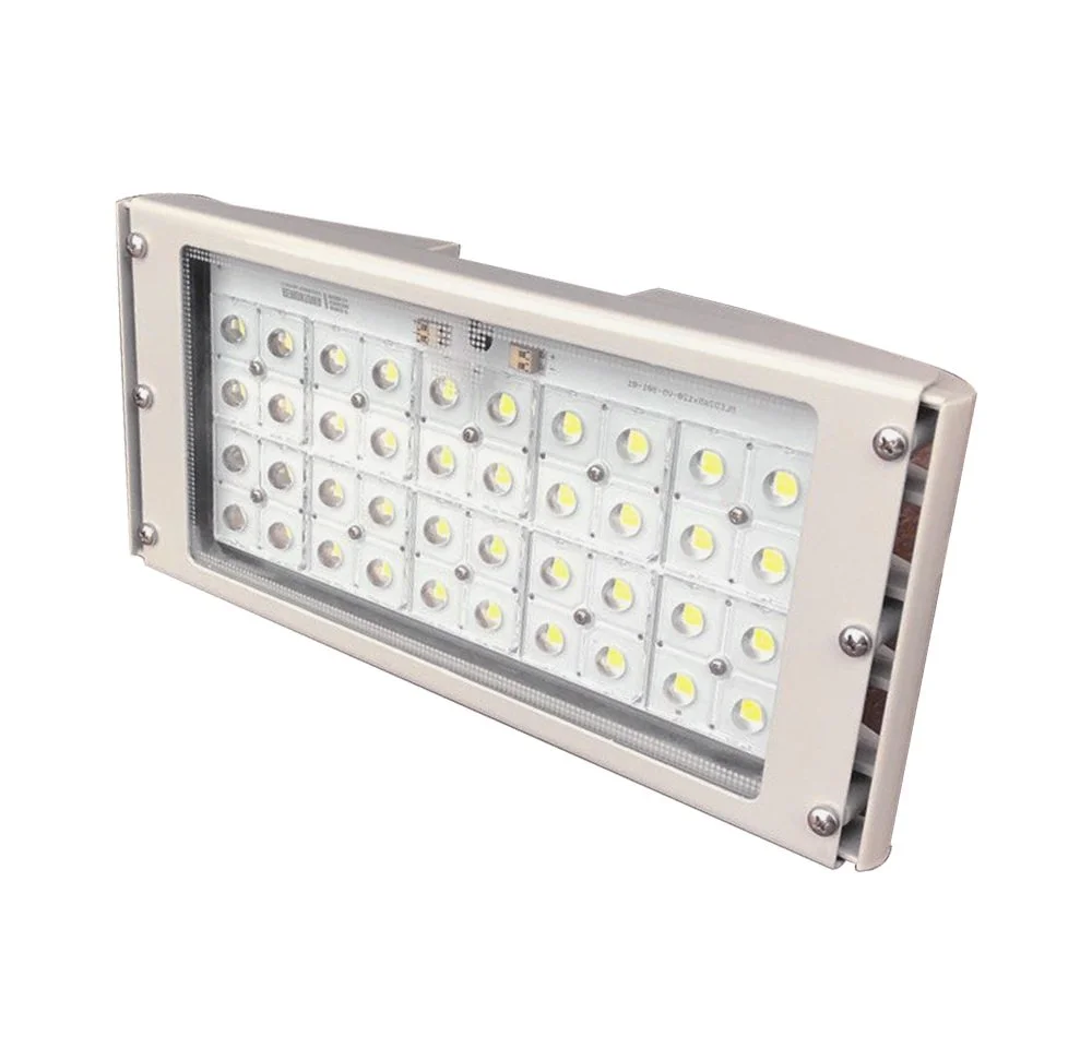 Remontowa STP20 Floodlight LED Light Part, lamp